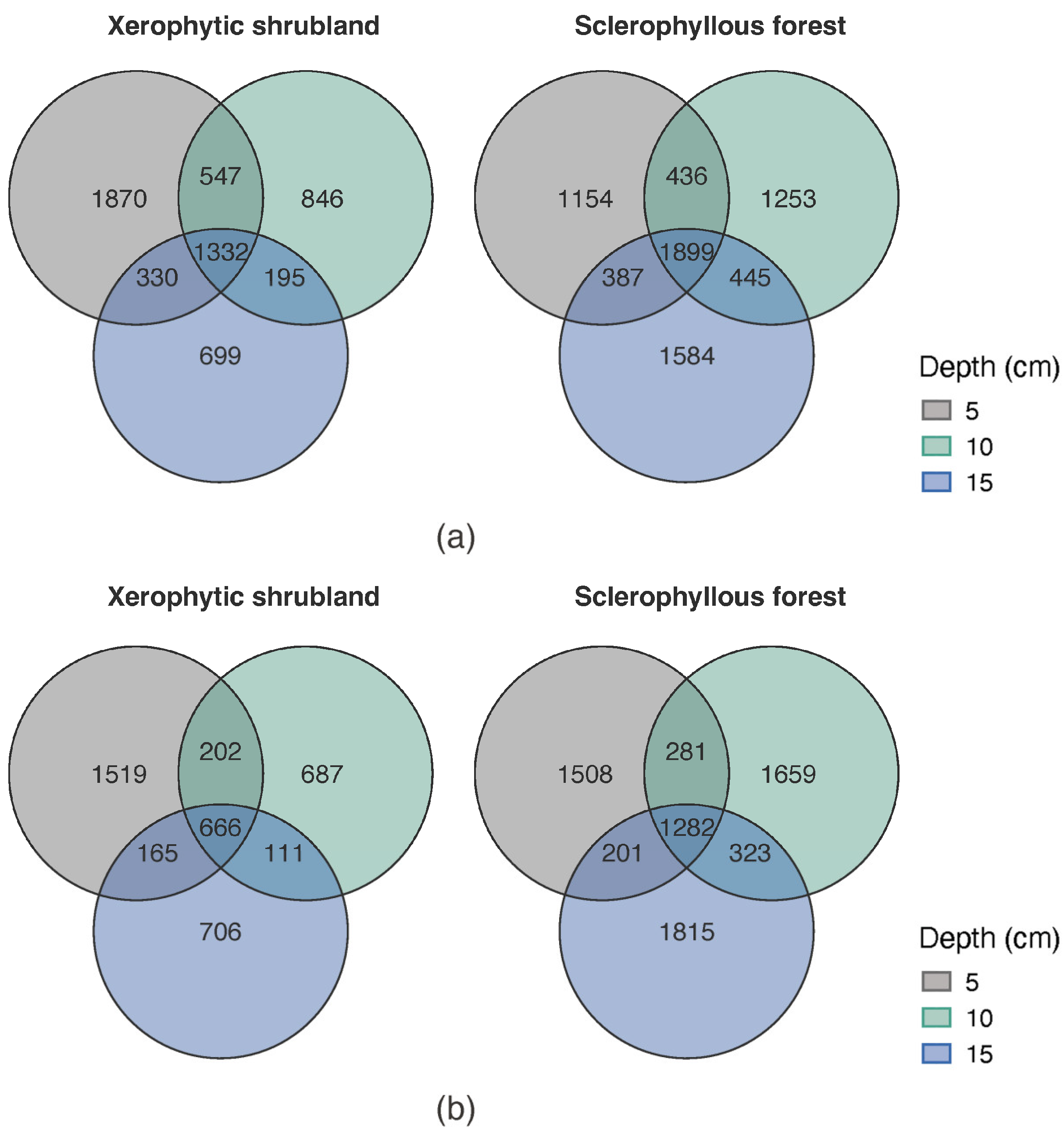 Microorganisms 12 02487 g005