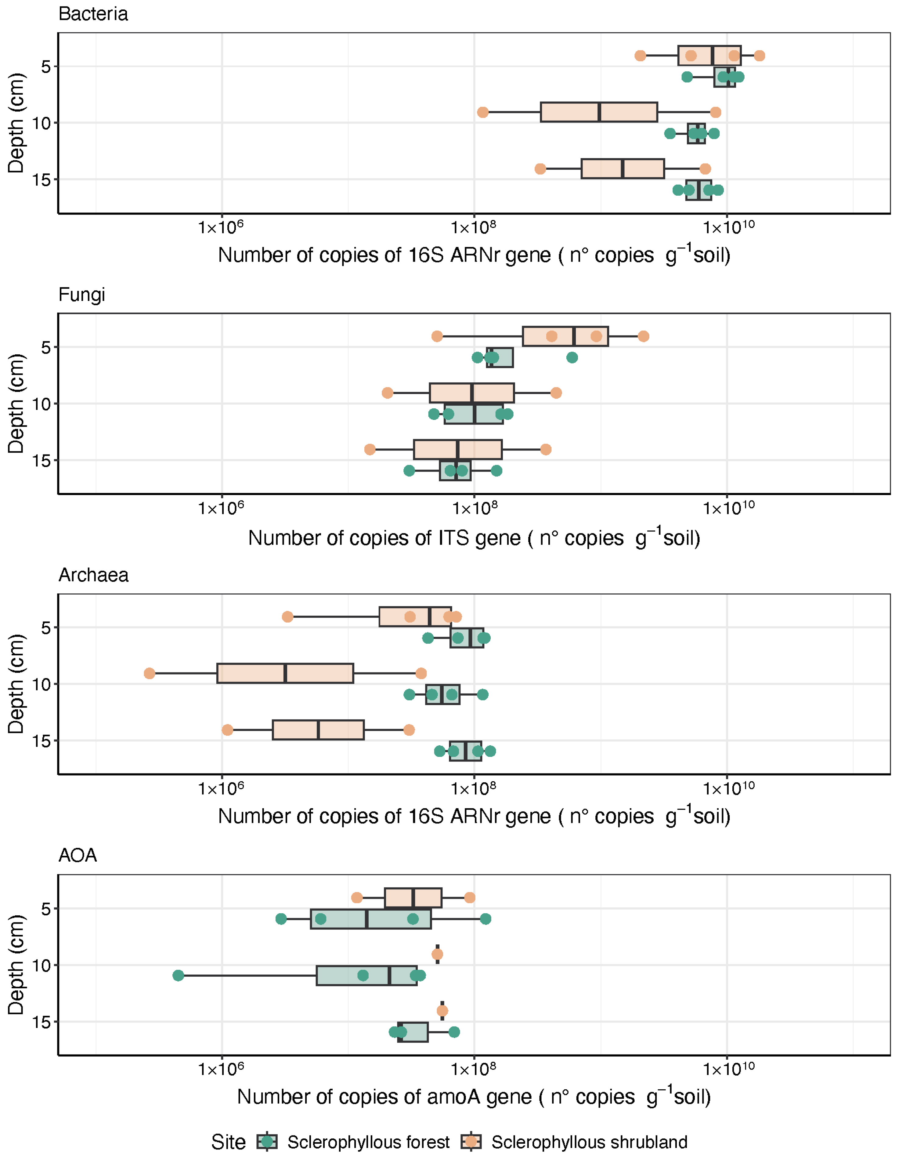 Microorganisms 12 02487 g008