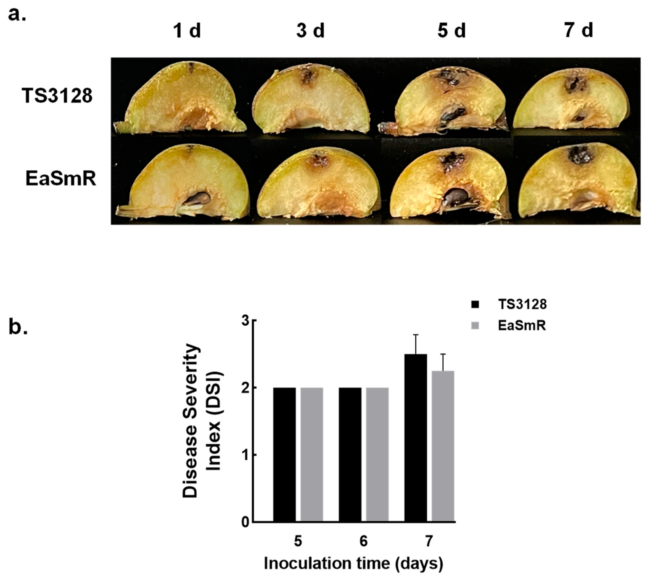 Microorganisms 12 02494 g003