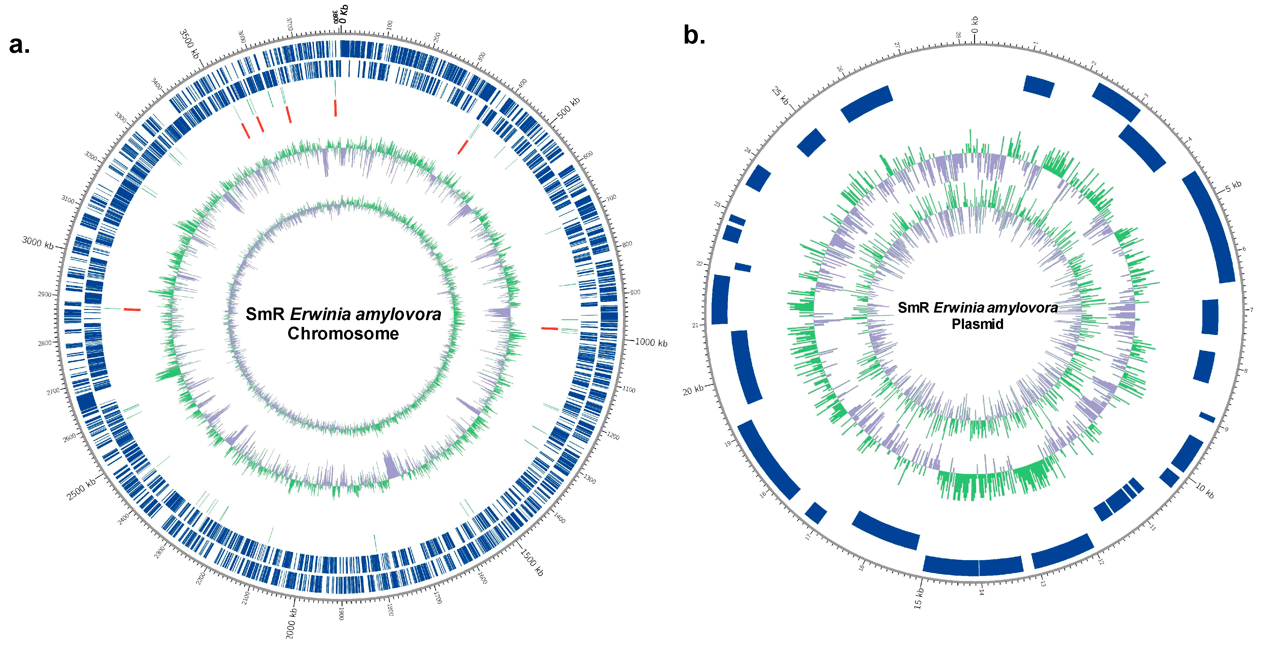 Microorganisms 12 02494 g004