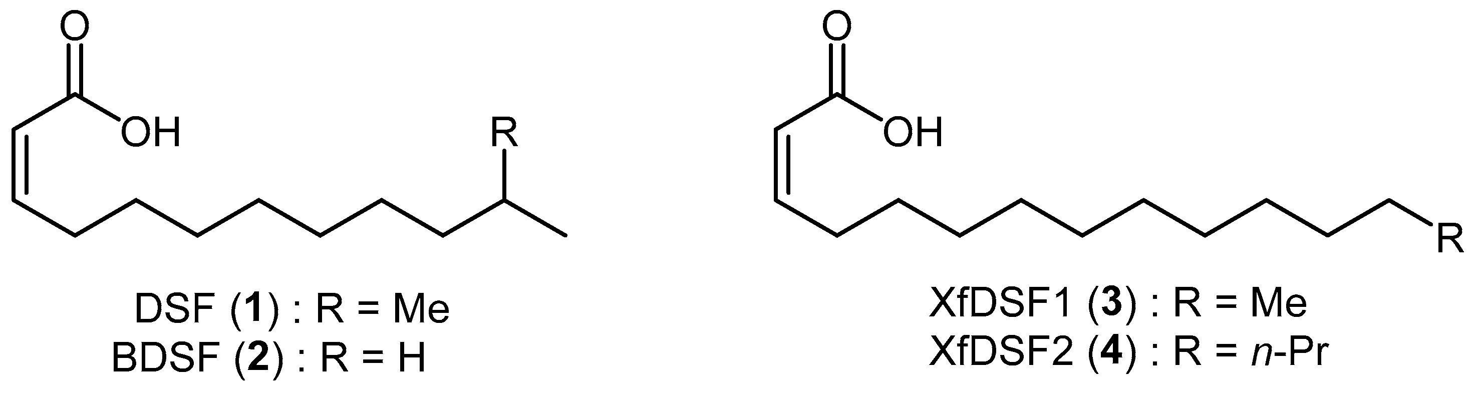 Microorganisms 12 02496 g001