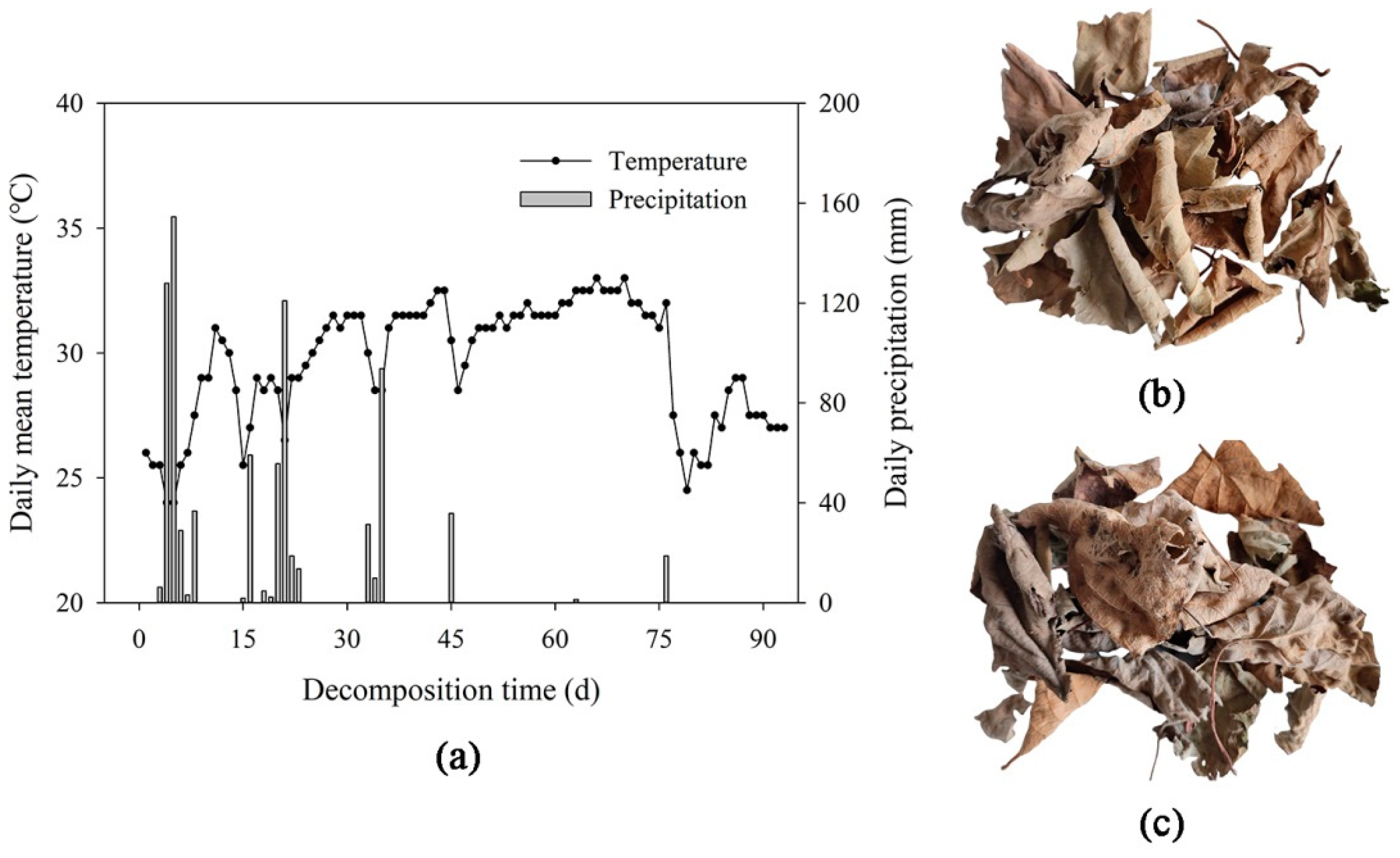 Microorganisms 12 02498 g001