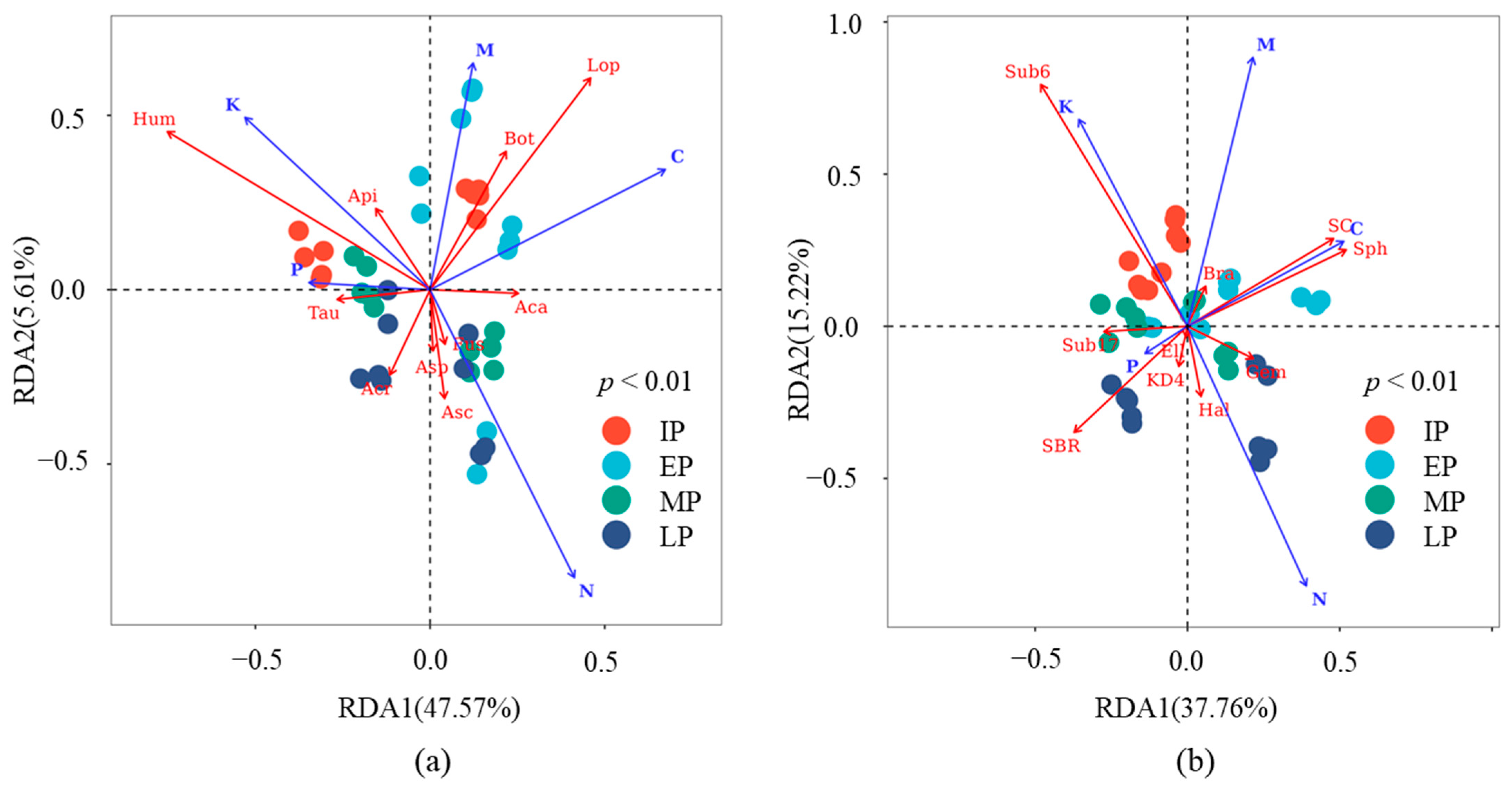 Microorganisms 12 02498 g009