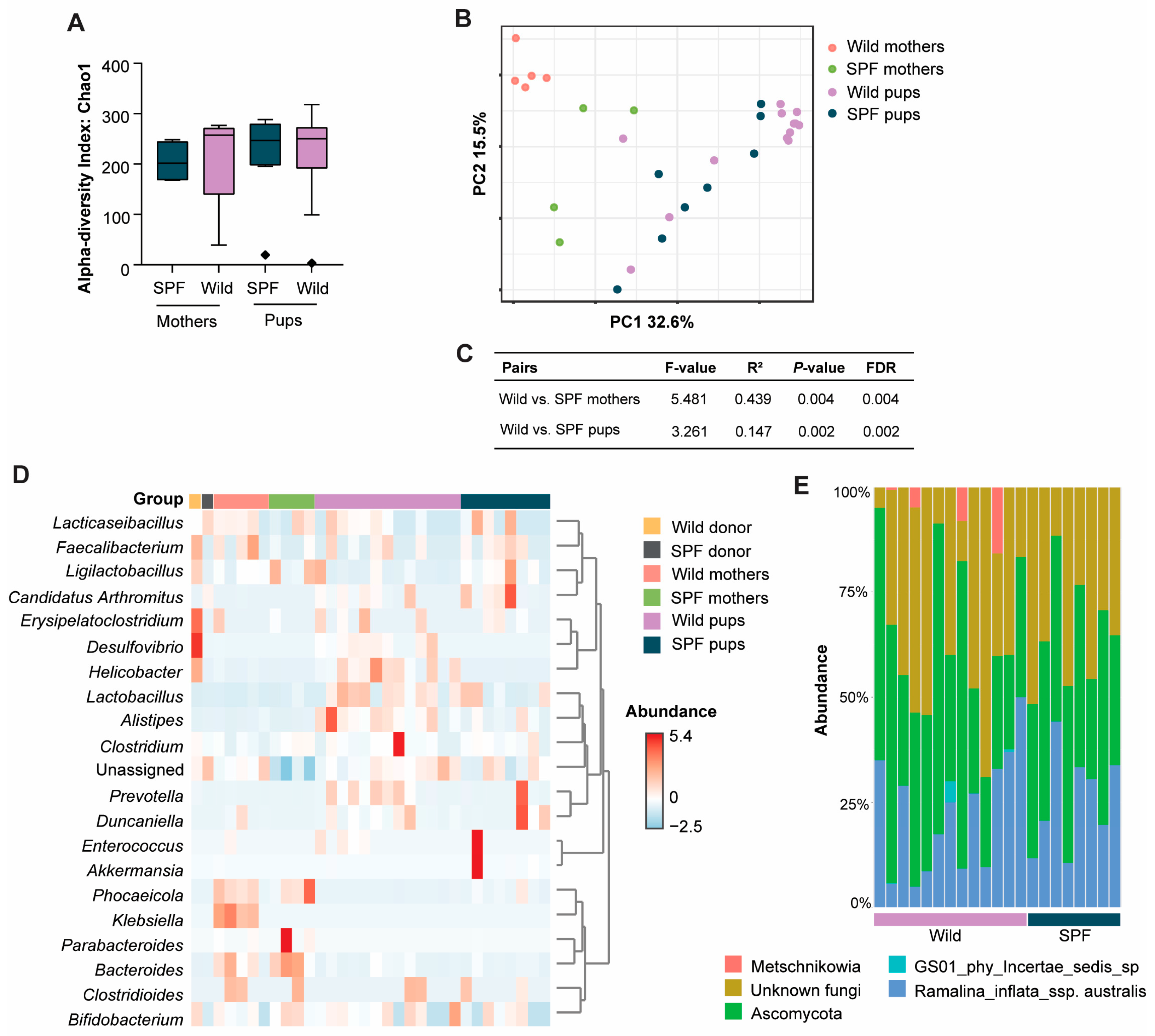 Microorganisms 12 02499 g003