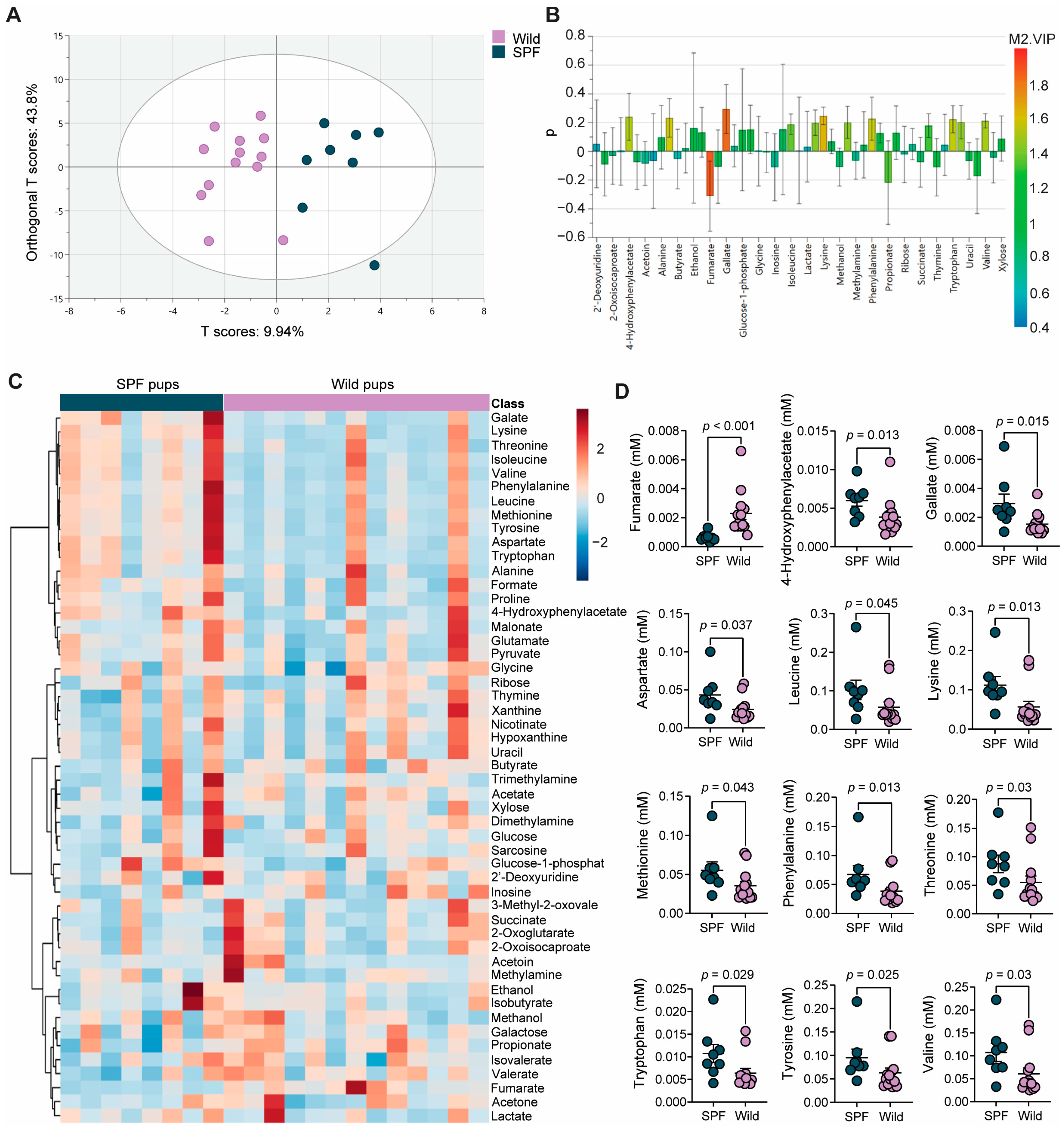 Microorganisms 12 02499 g004