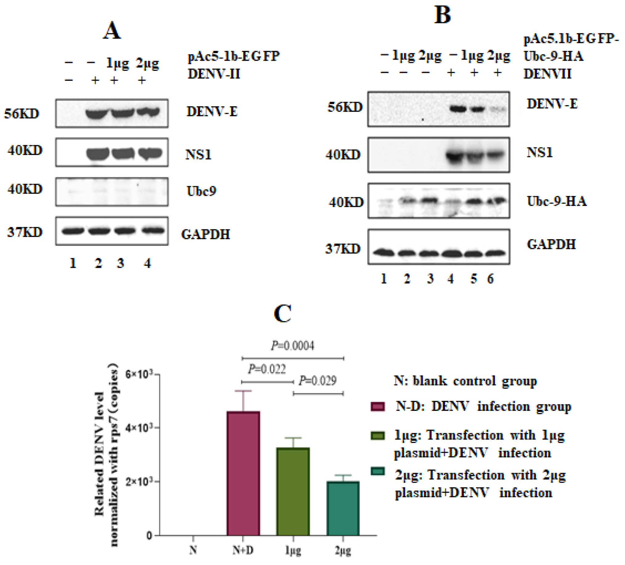 Microorganisms 12 02508 g002