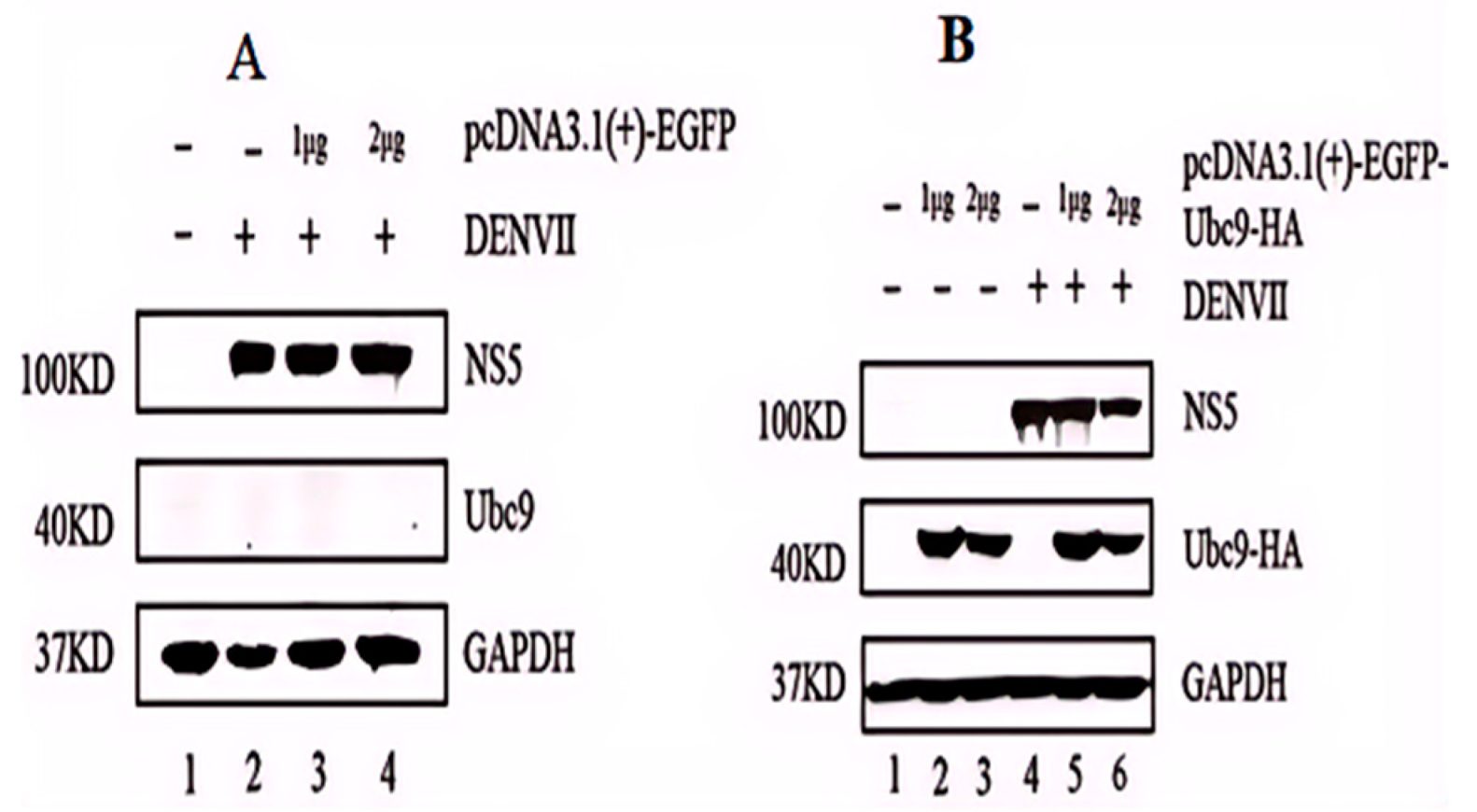 Microorganisms 12 02508 g003