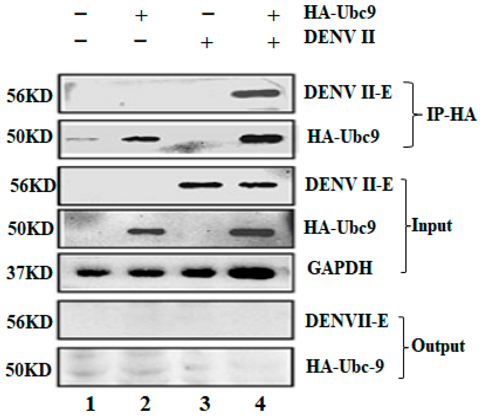 Microorganisms 12 02508 g004