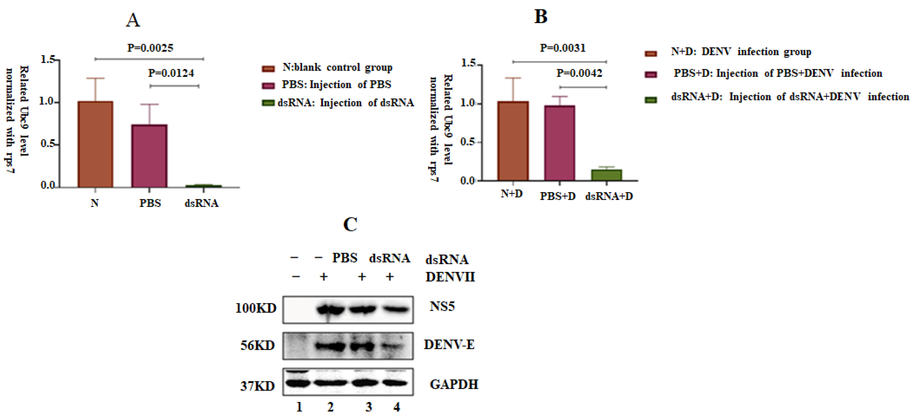 Microorganisms 12 02508 g007