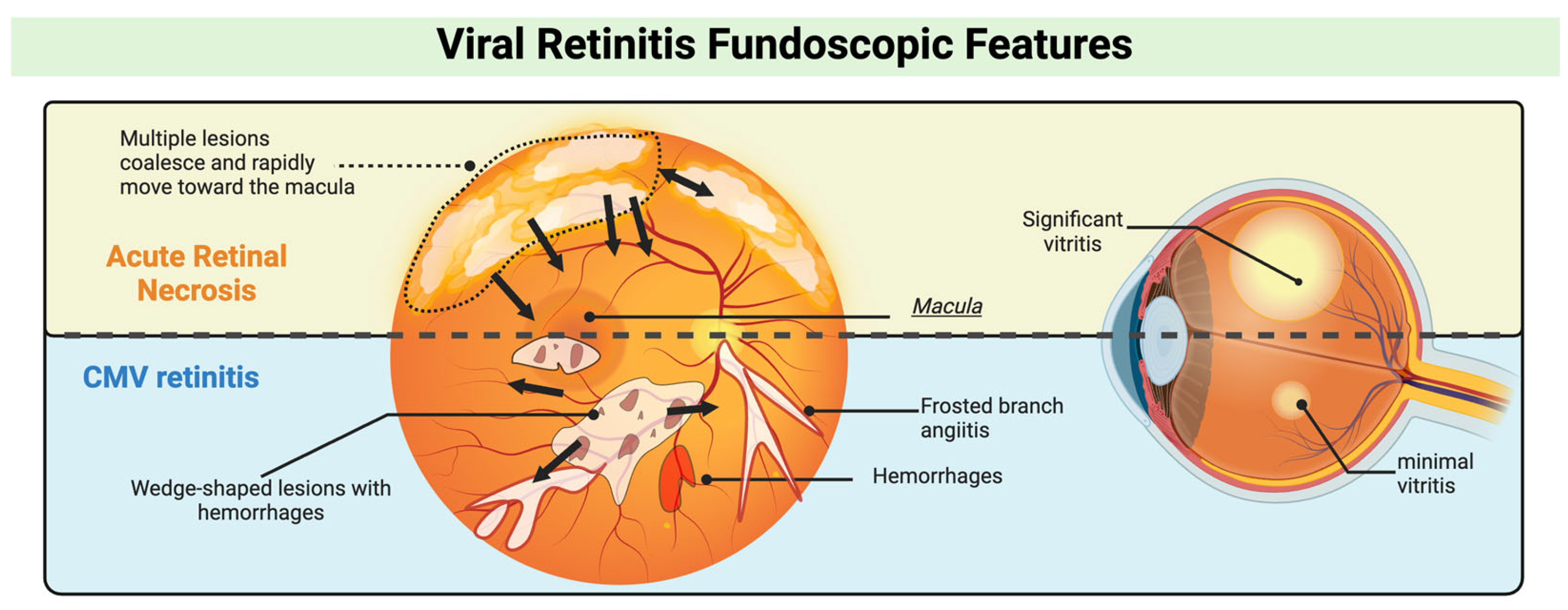 Microorganisms 12 02513 g002