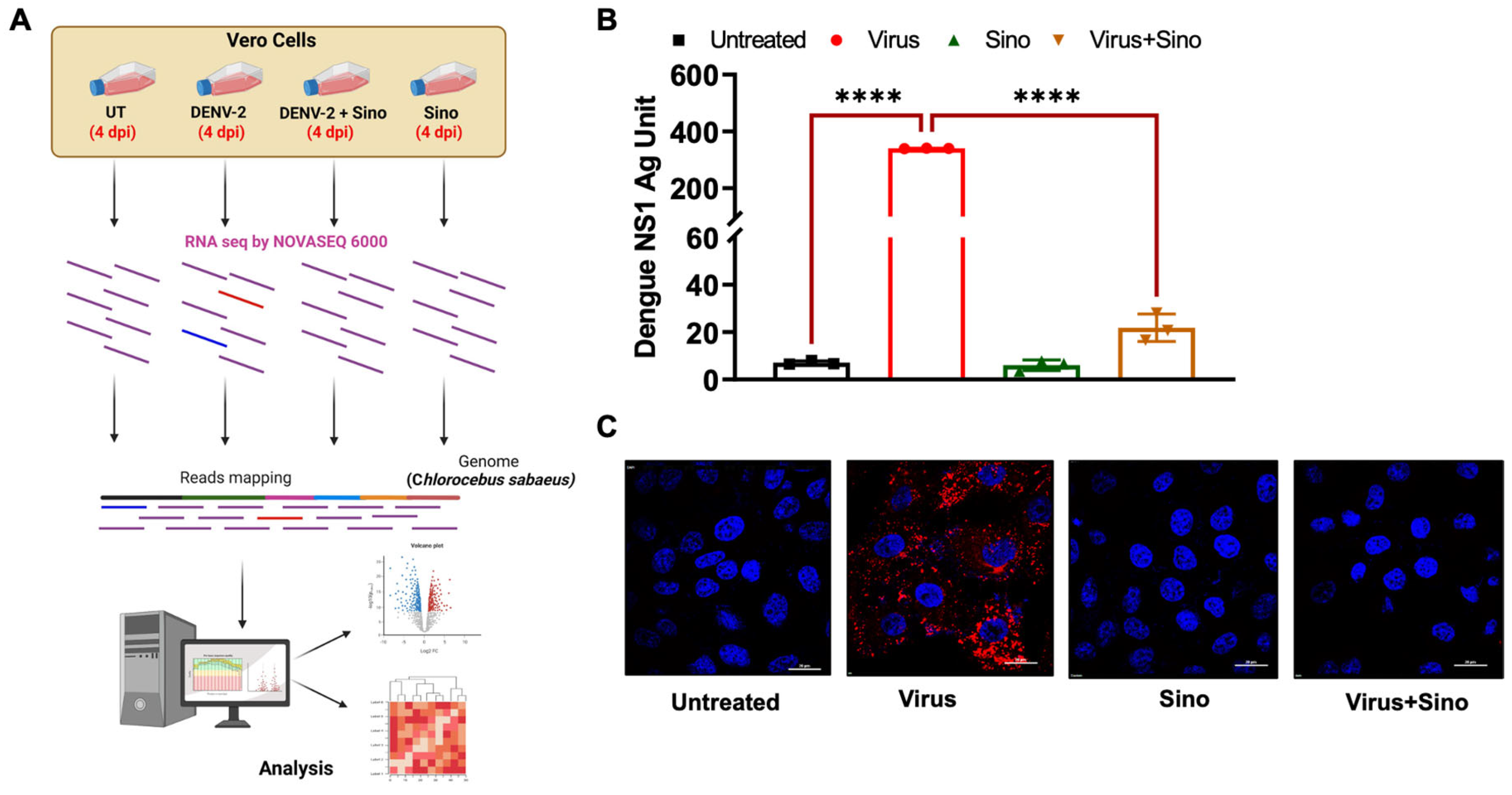 Microorganisms 12 02529 g001