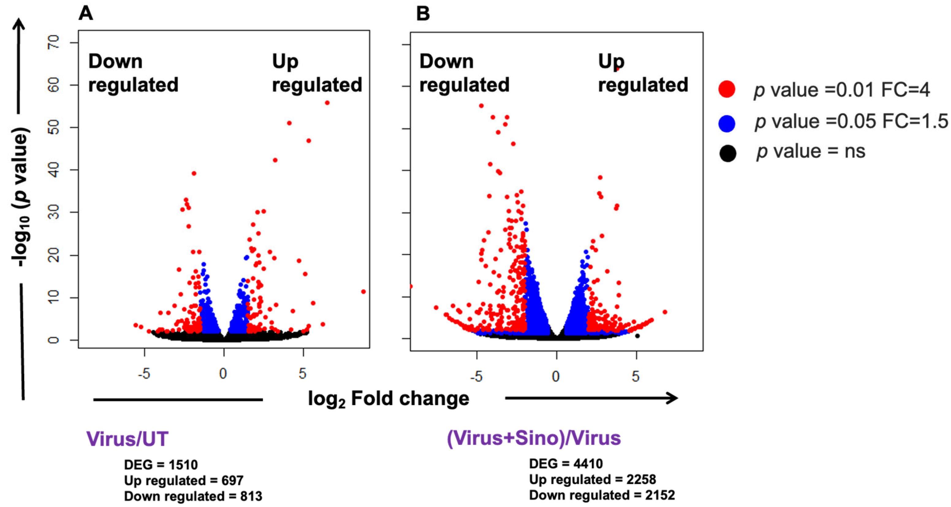 Microorganisms 12 02529 g002