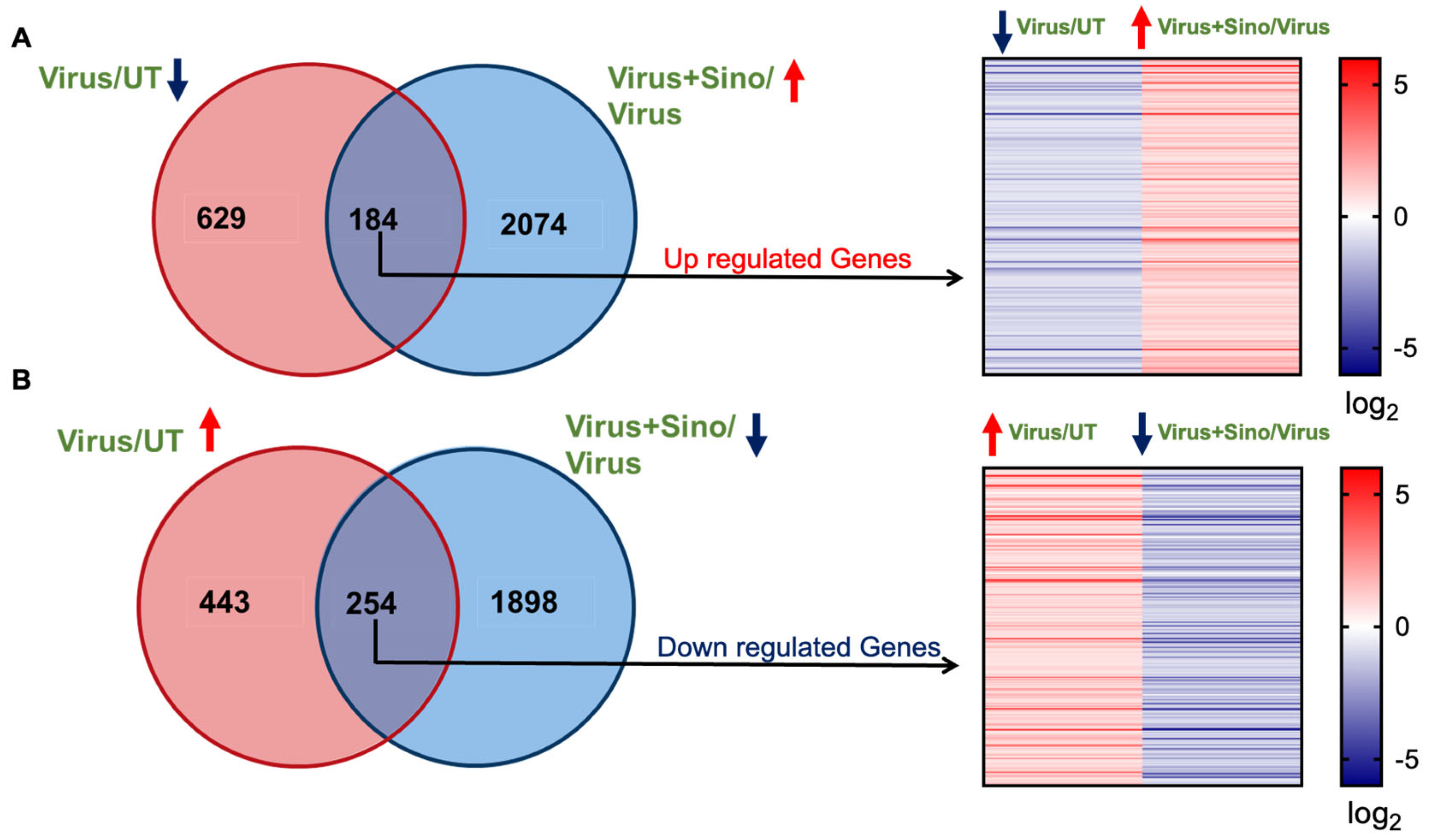 Microorganisms 12 02529 g003