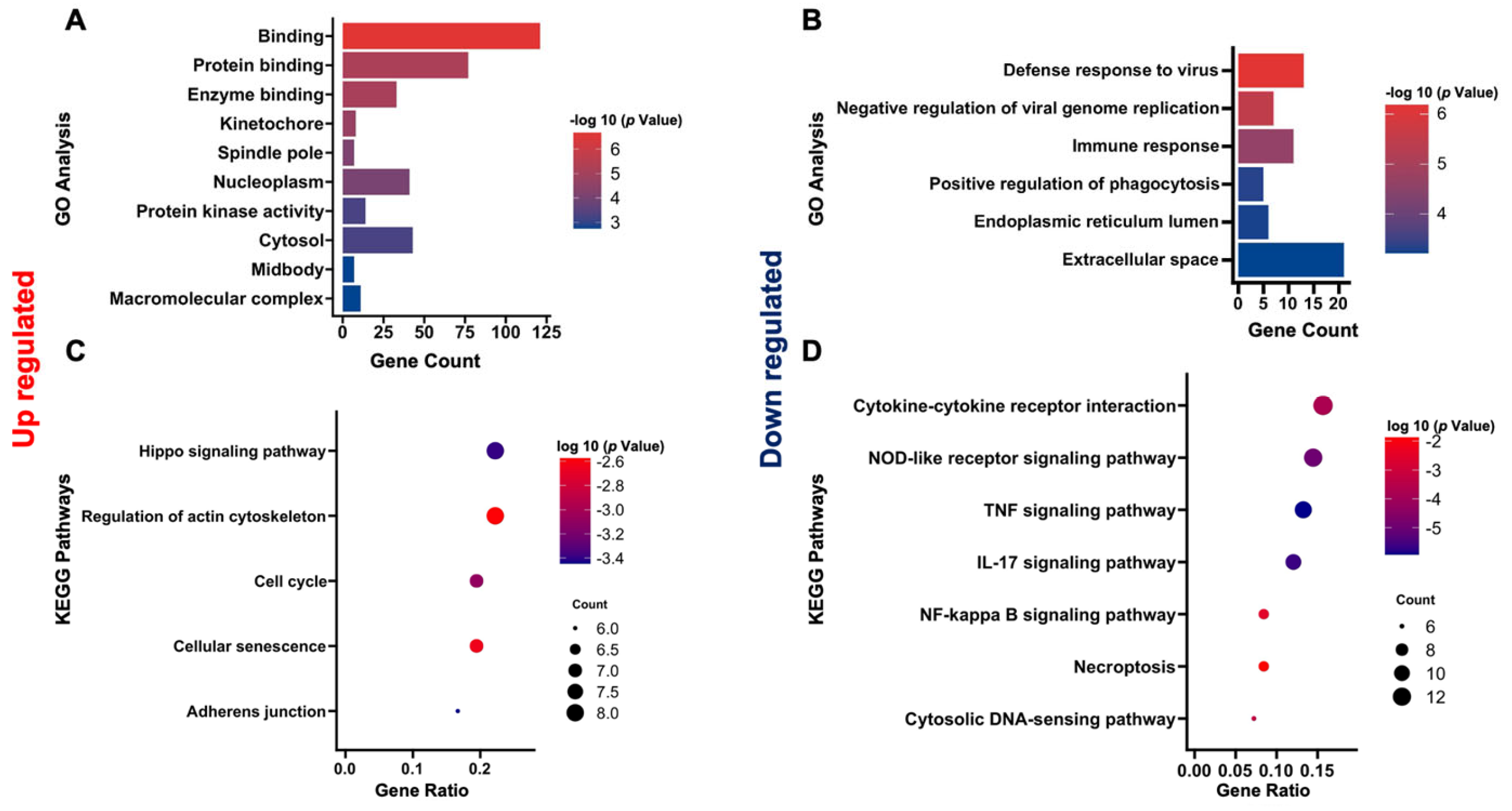 Microorganisms 12 02529 g004