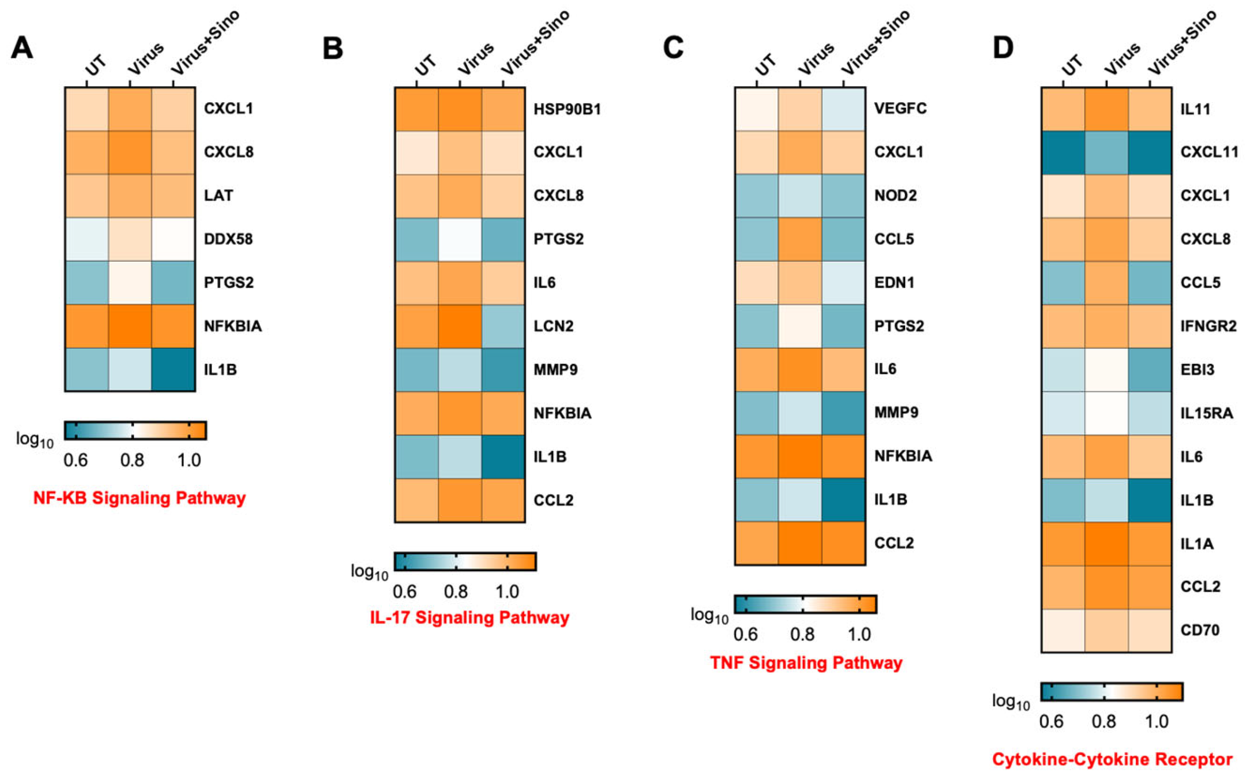 Microorganisms 12 02529 g005