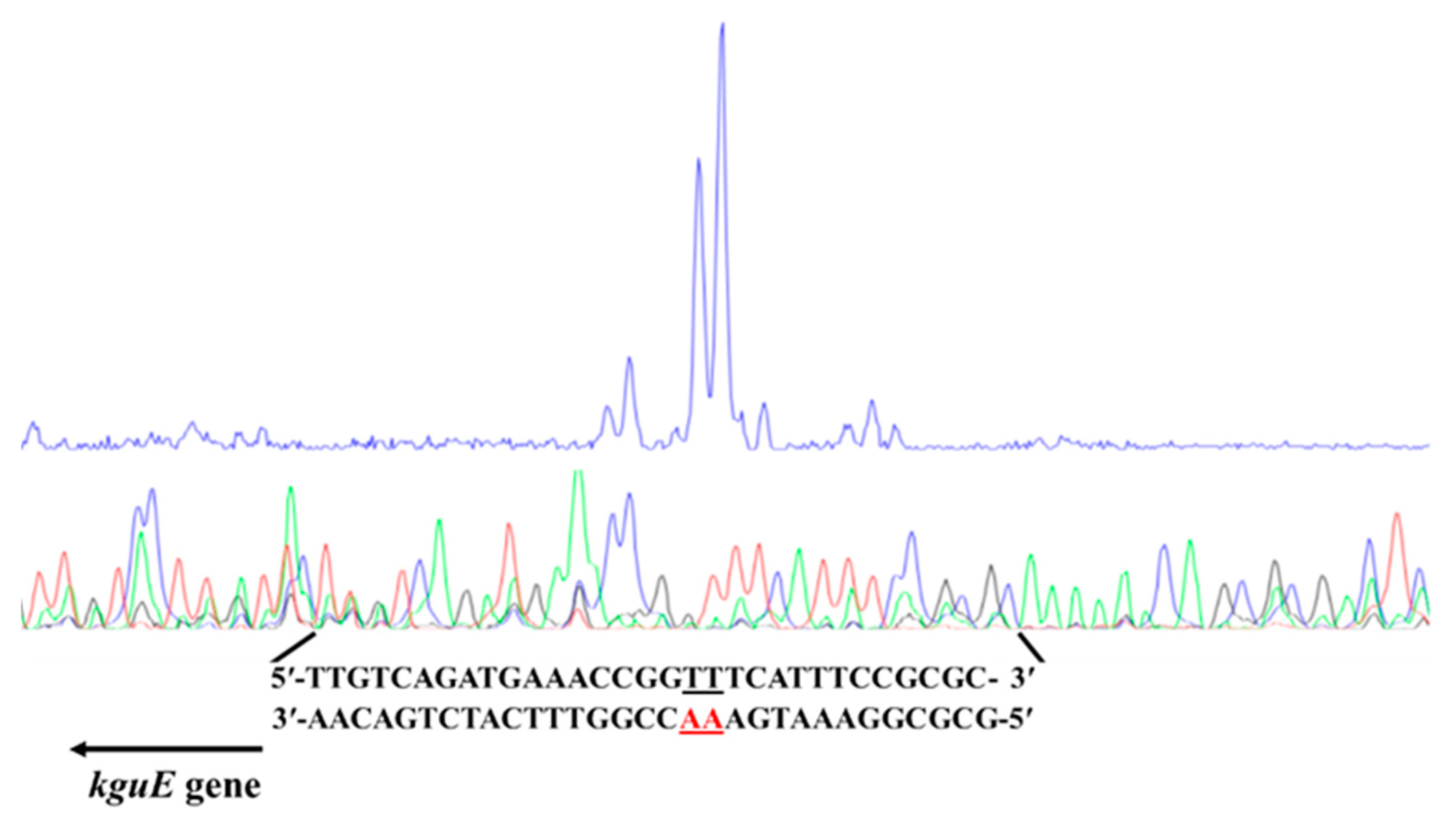 Microorganisms 12 02530 g004
