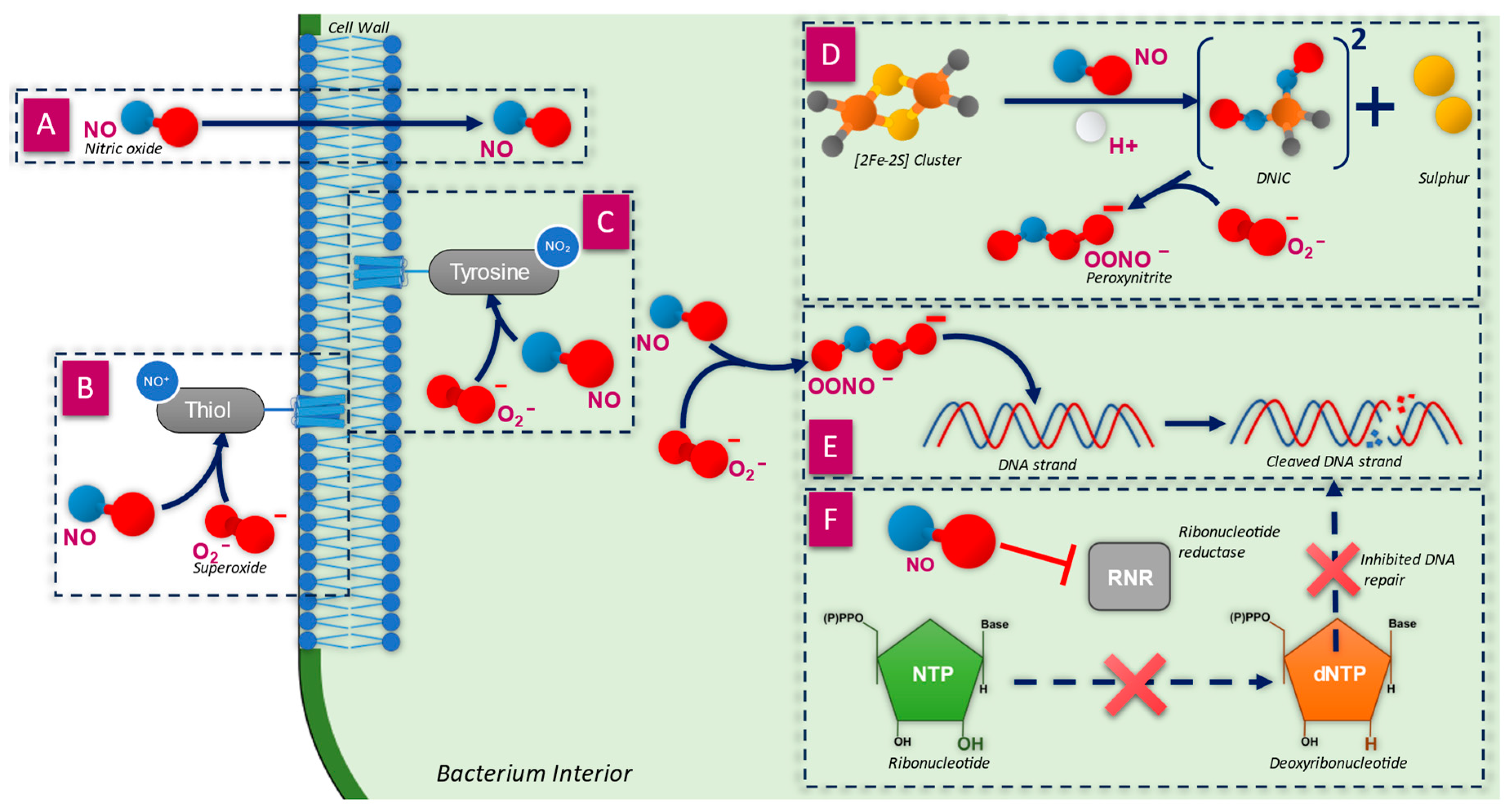 Microorganisms 12 02543 g002