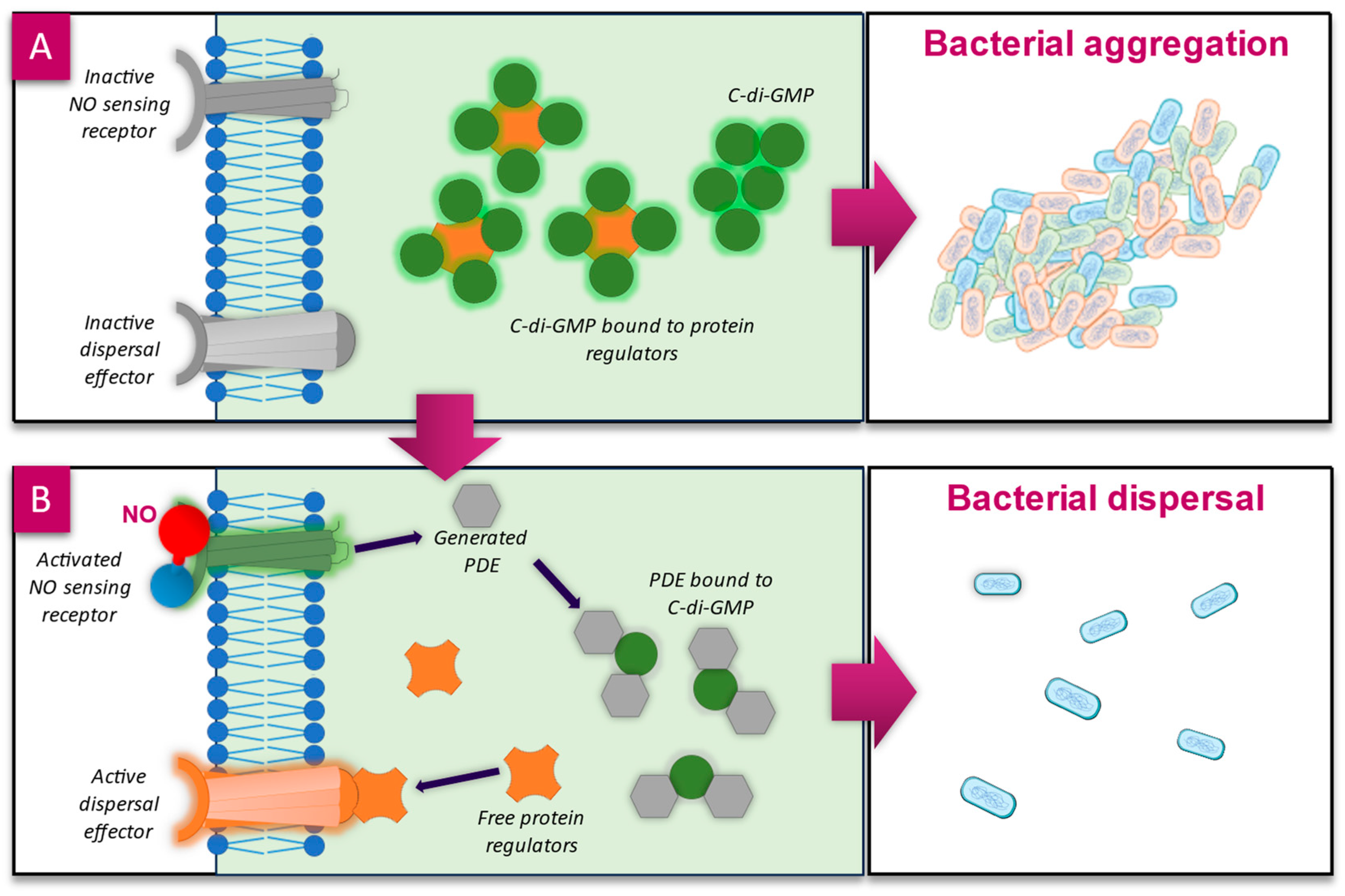 Microorganisms 12 02543 g003