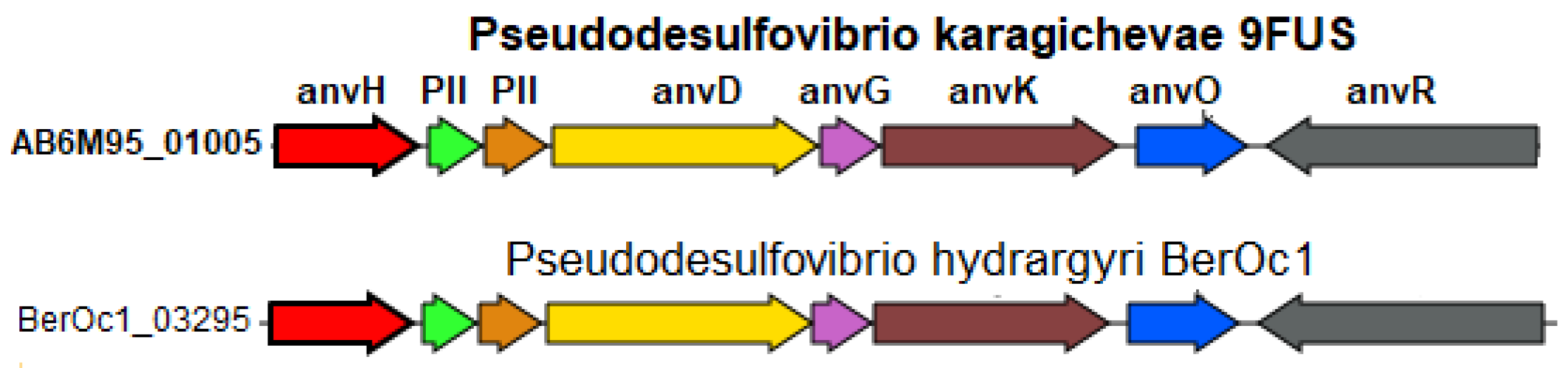 Microorganisms 12 02552 g007