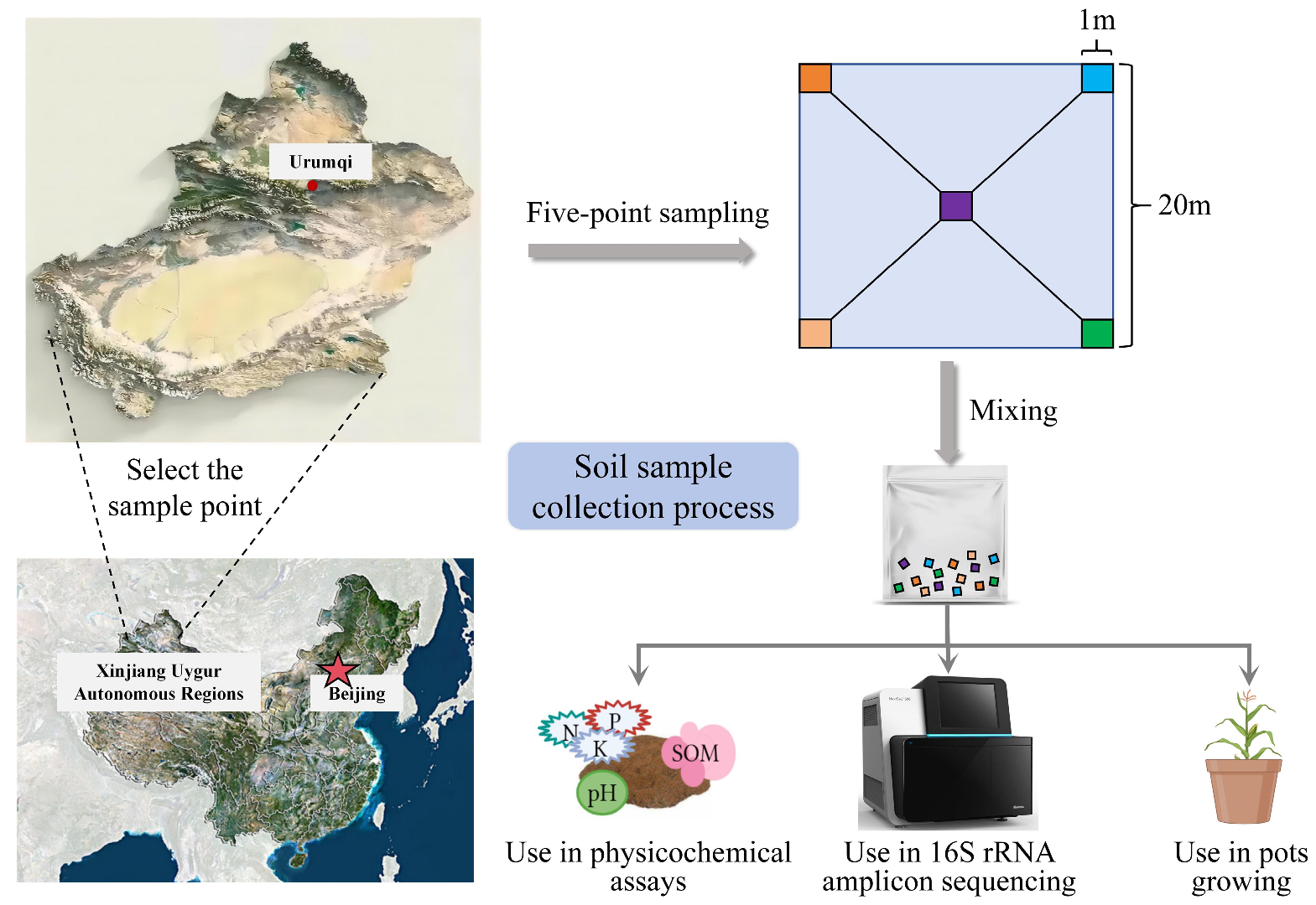 Microorganisms 12 02556 g001