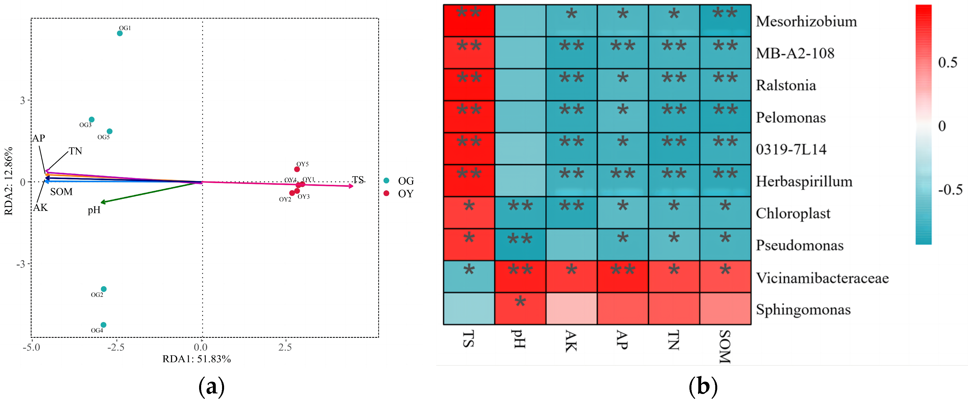 Microorganisms 12 02556 g005
