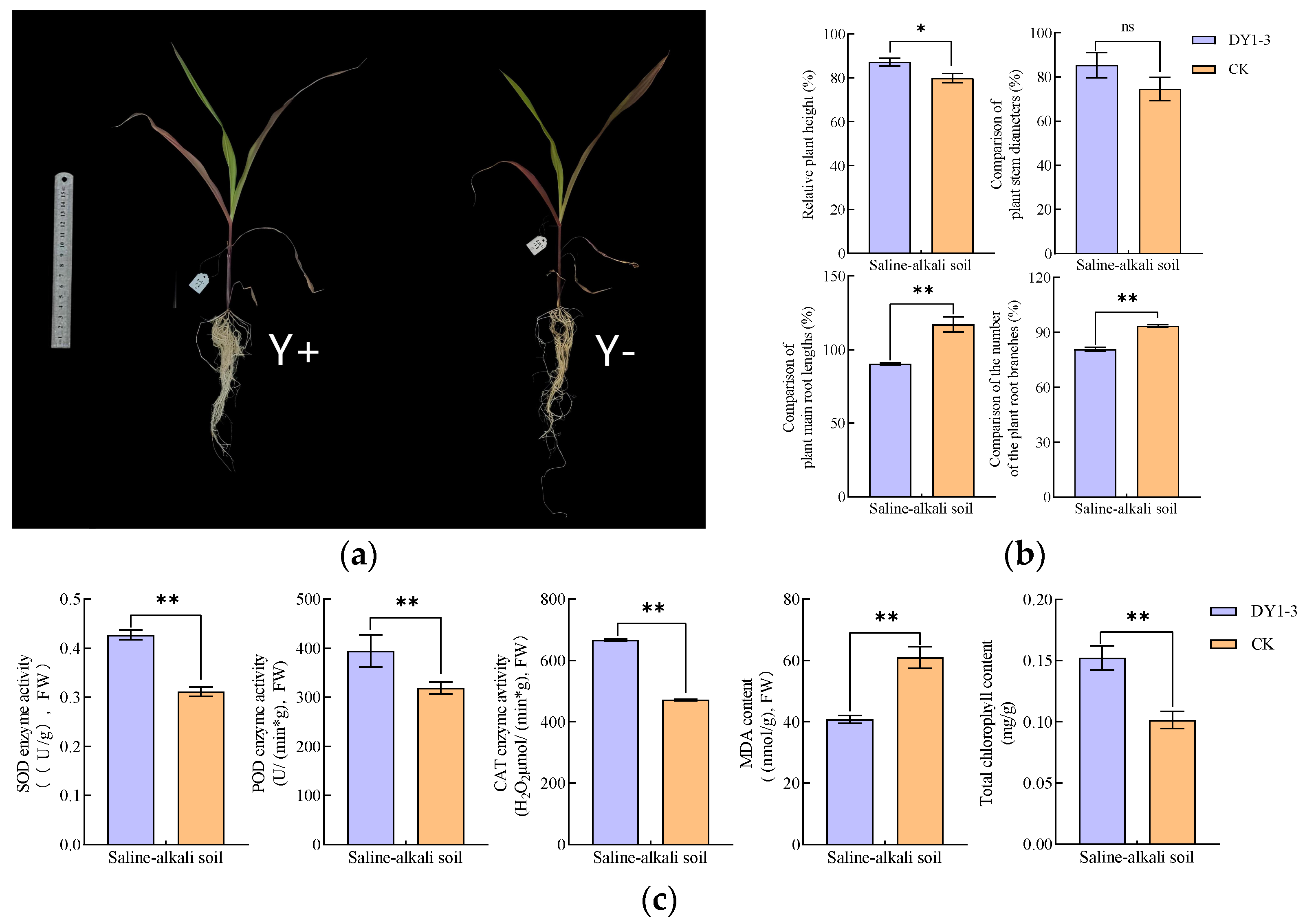 Microorganisms 12 02556 g011