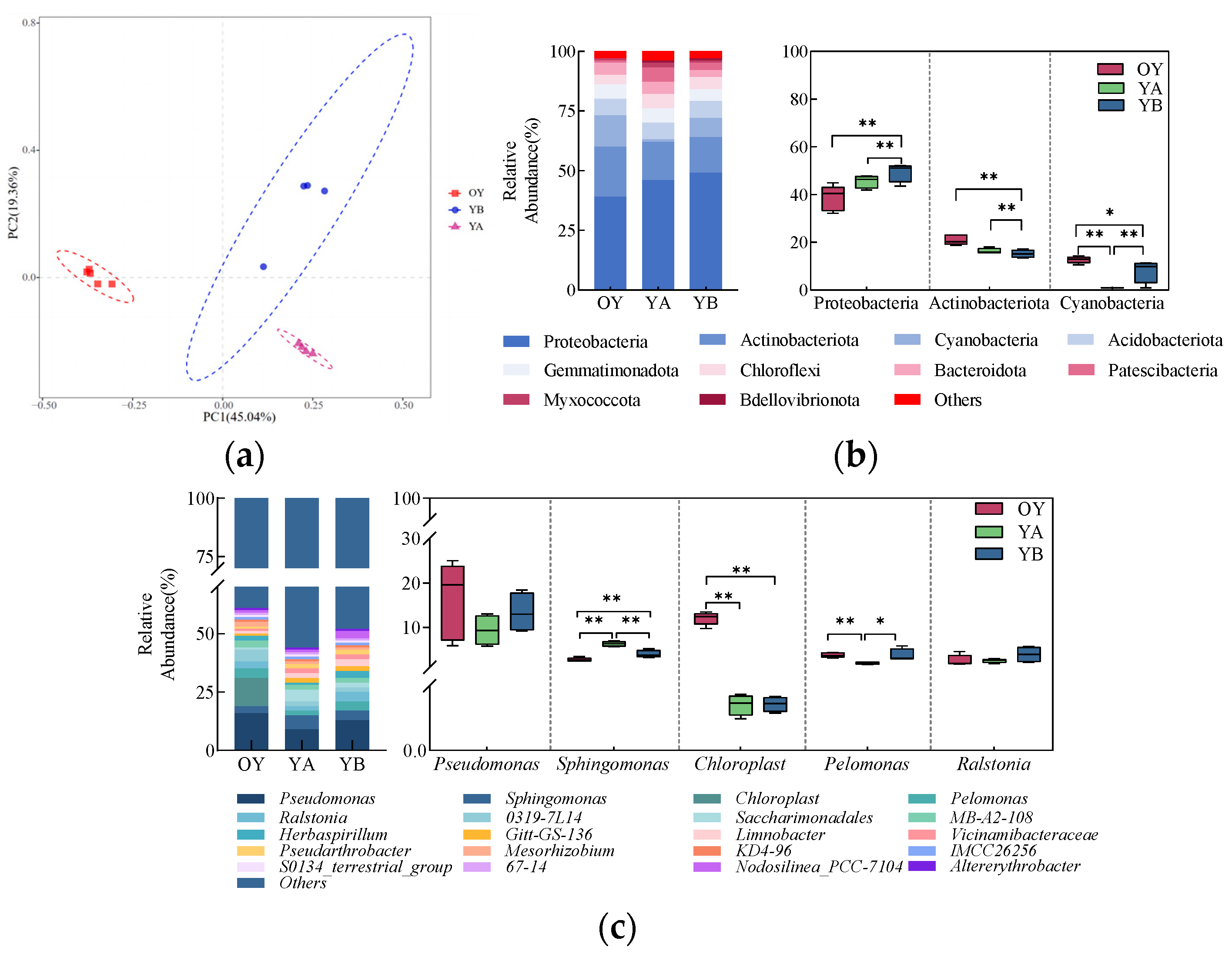 Microorganisms 12 02556 g014