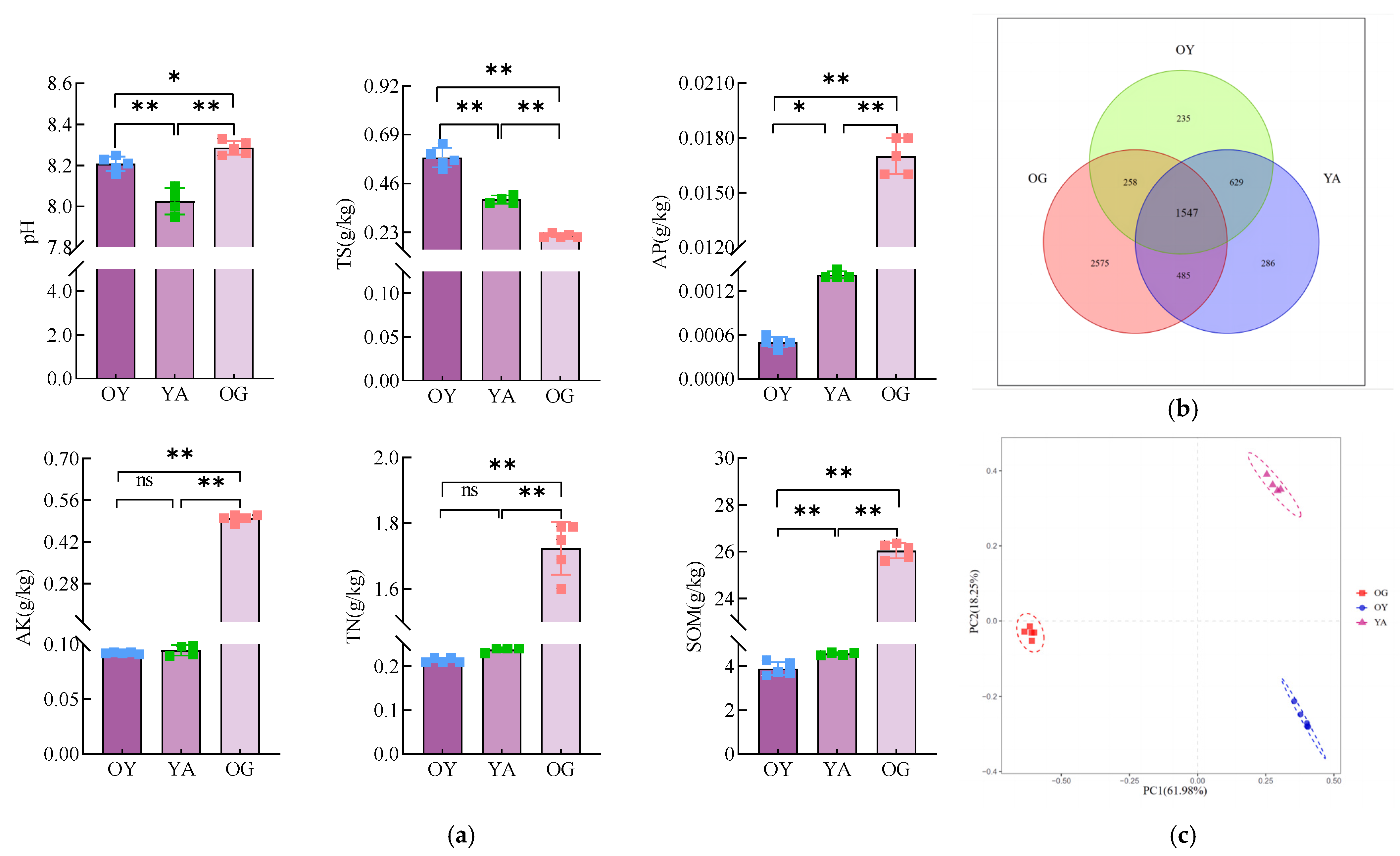 Microorganisms 12 02556 g016