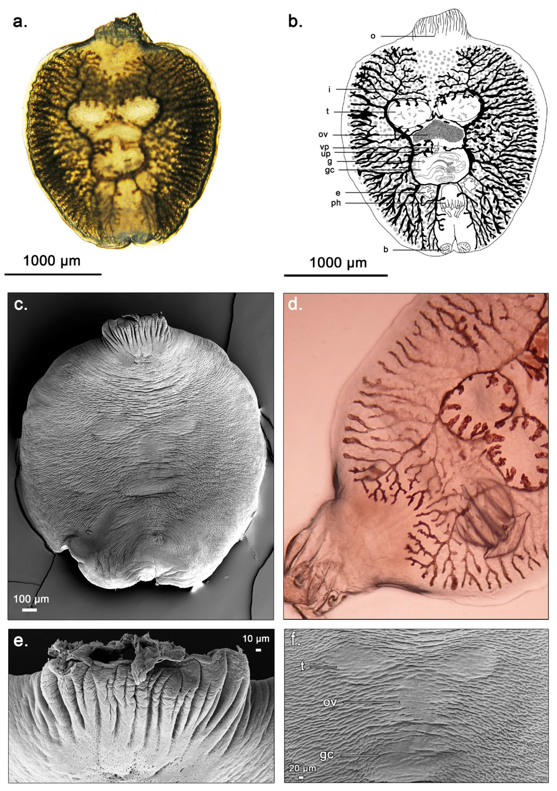 Microorganisms 12 02558 g002
