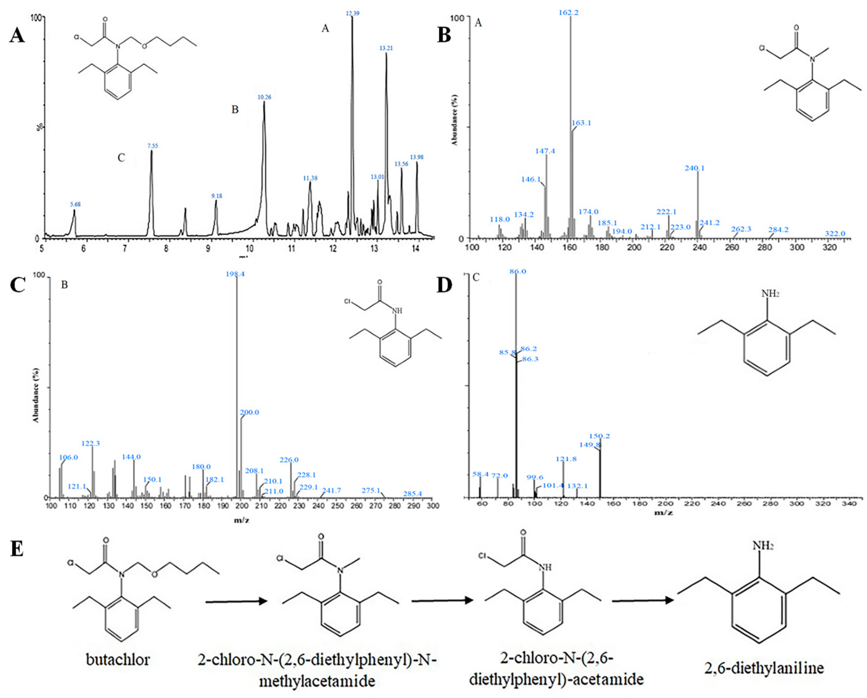 Microorganisms 12 02568 g003