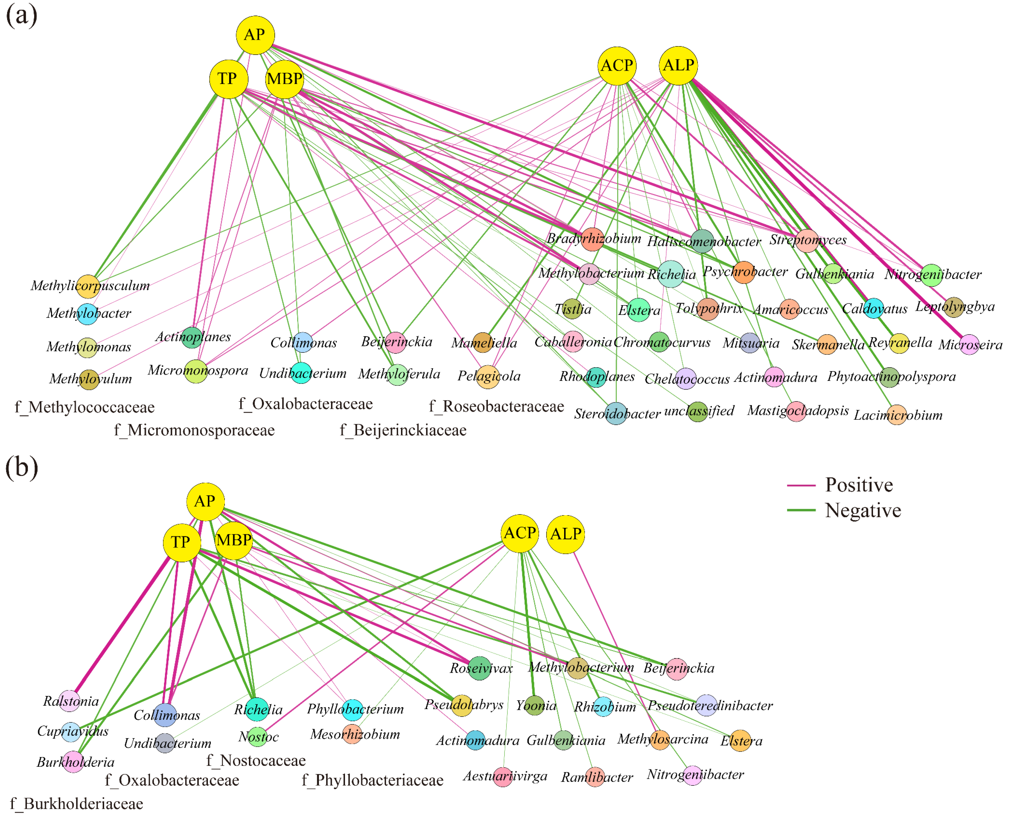 Microorganisms 12 02582 g009