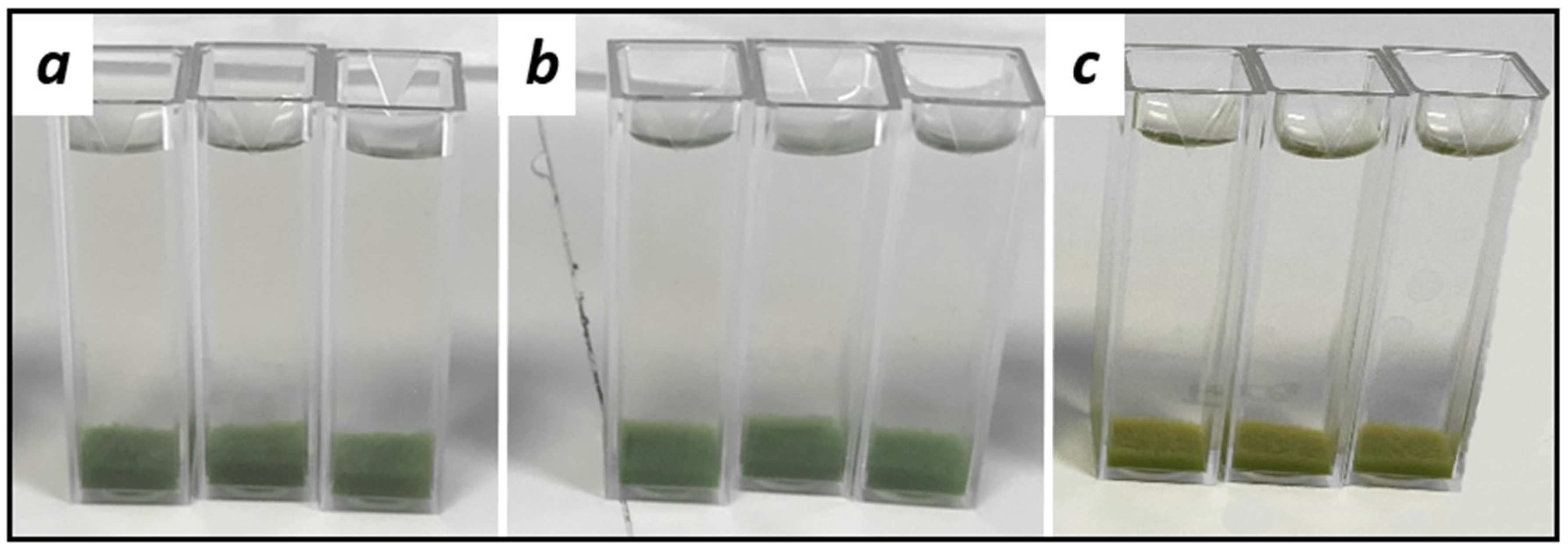 Microorganisms 12 02583 g0a2