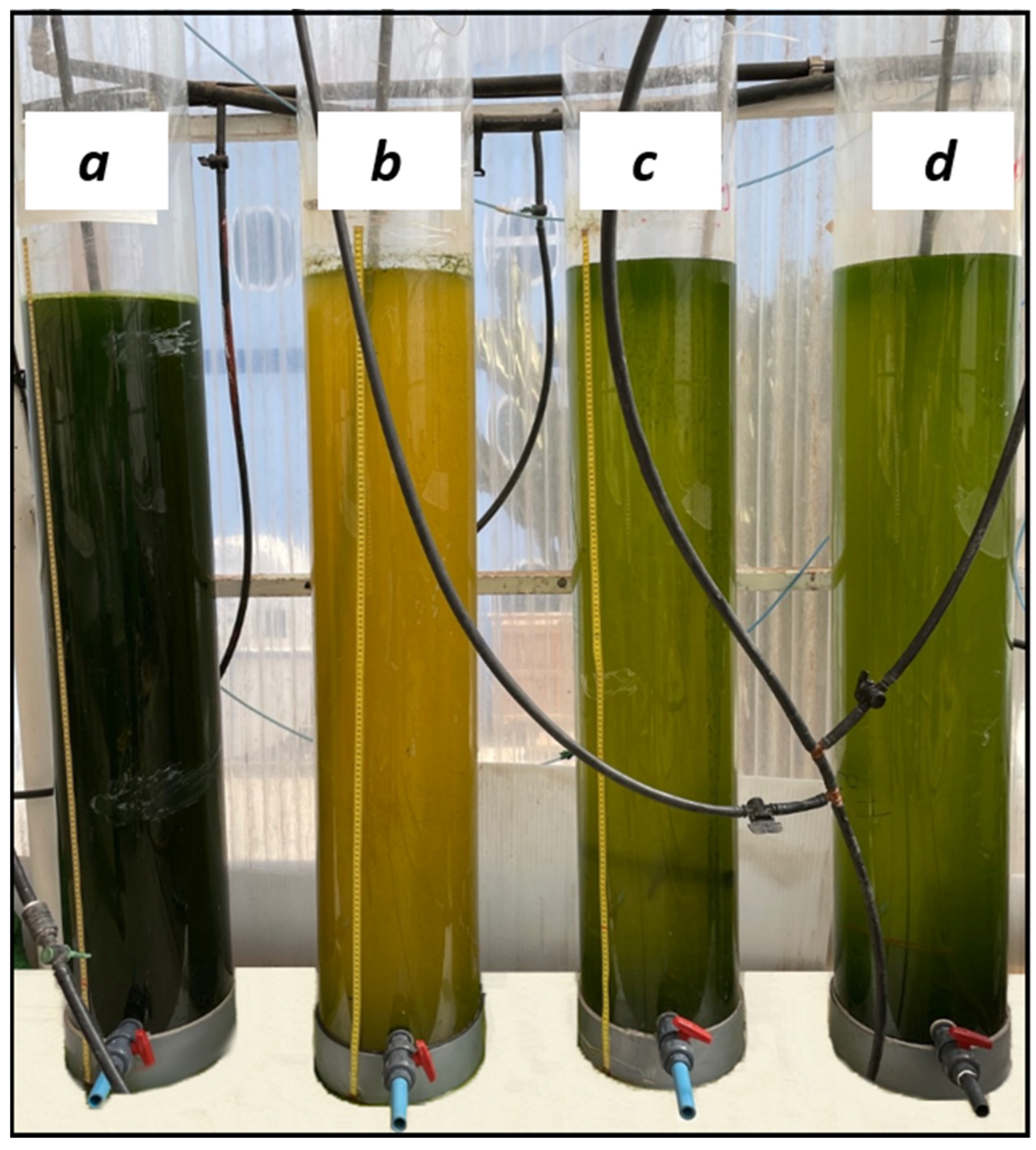 Microorganisms 12 02583 g0a3