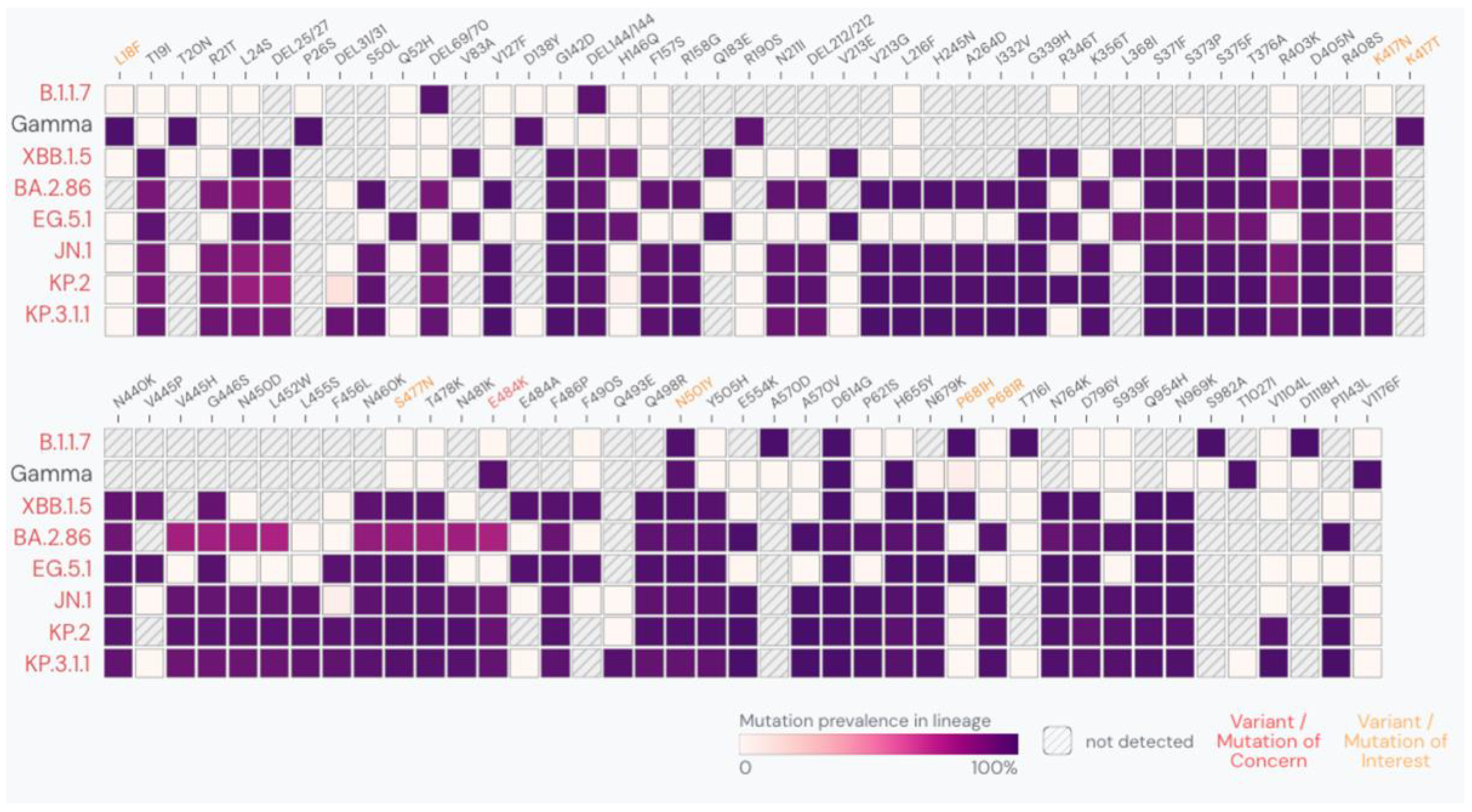 Microorganisms 12 02591 g001