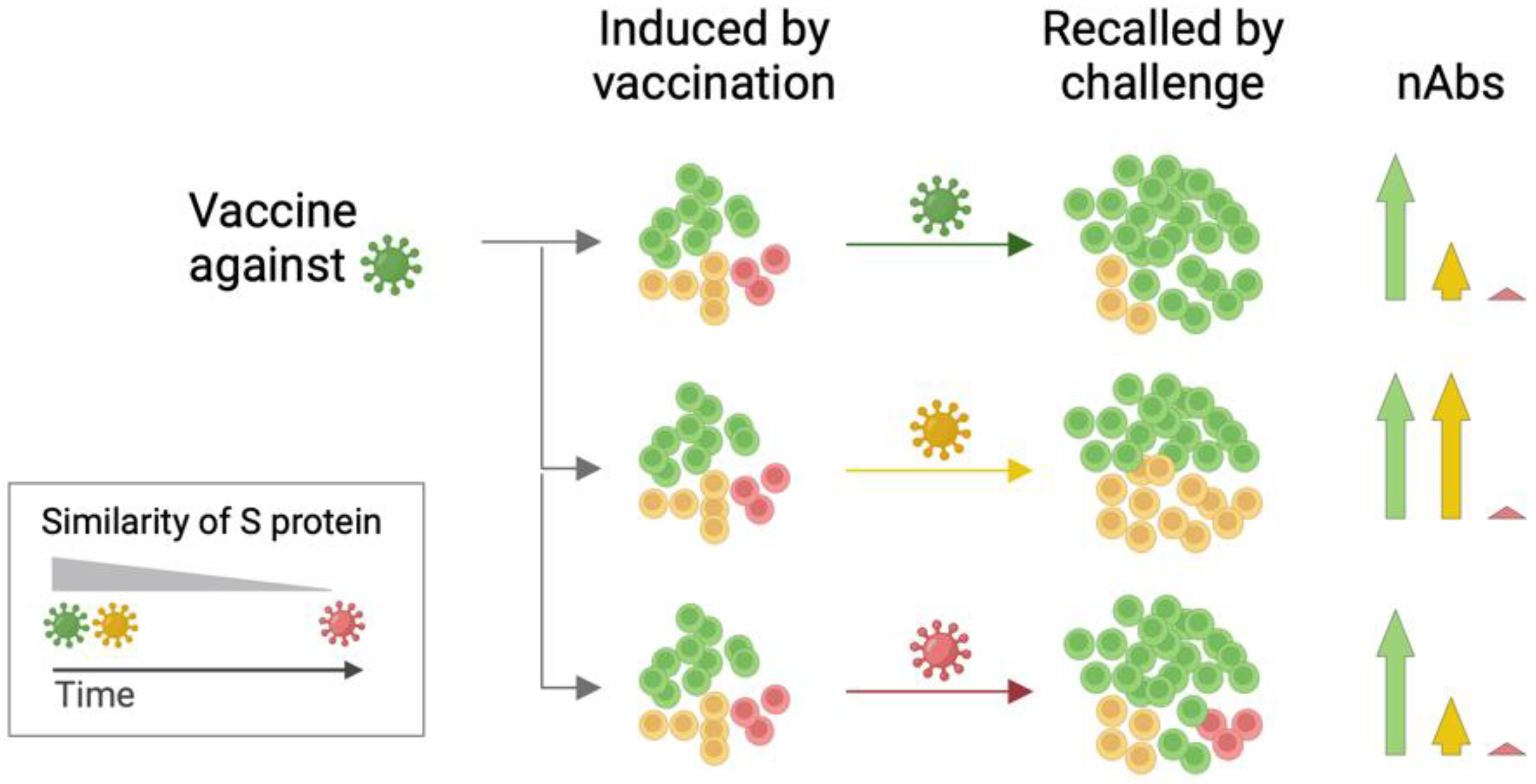 Microorganisms 12 02591 g004