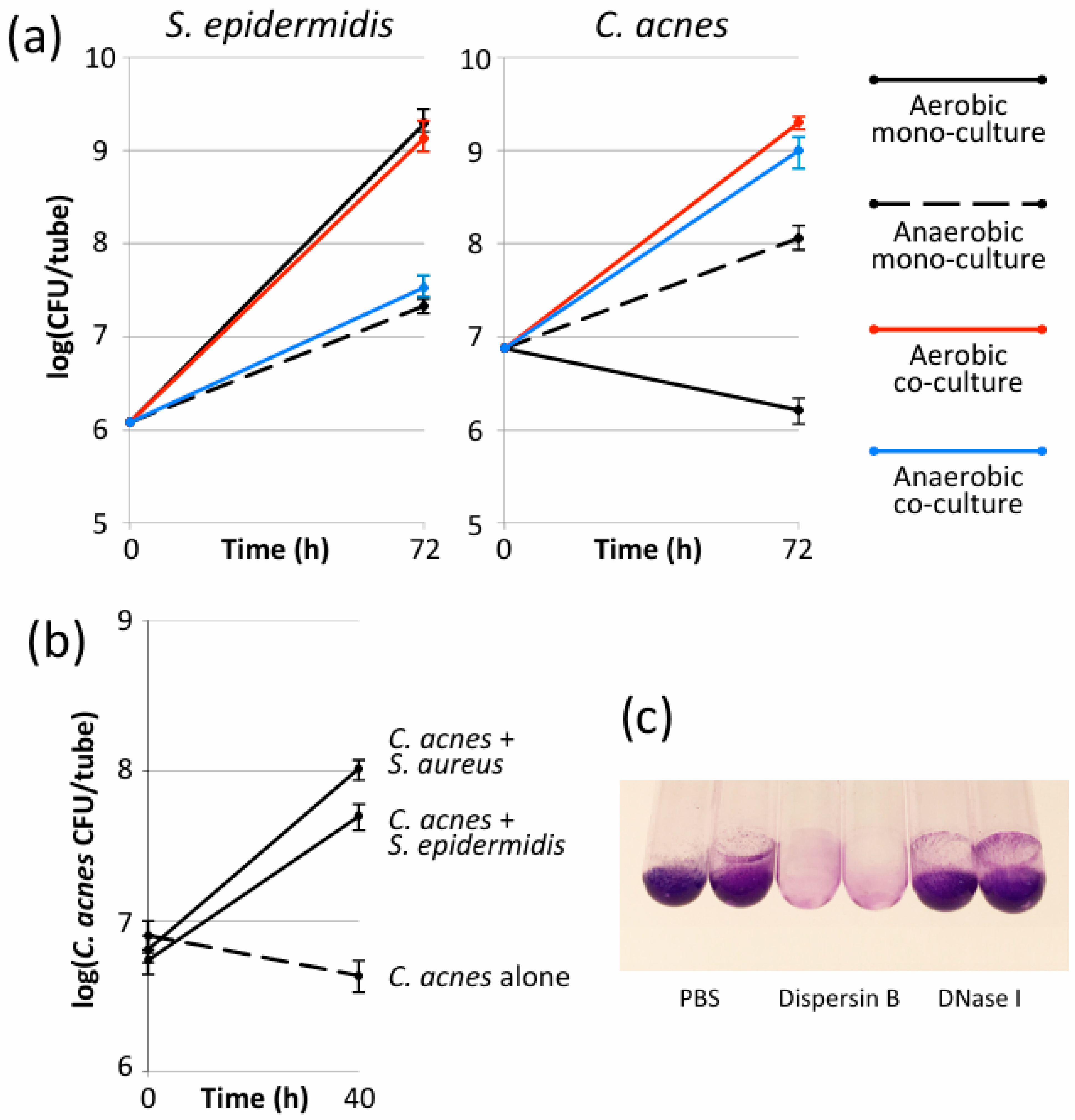 Microorganisms 12 02601 g001