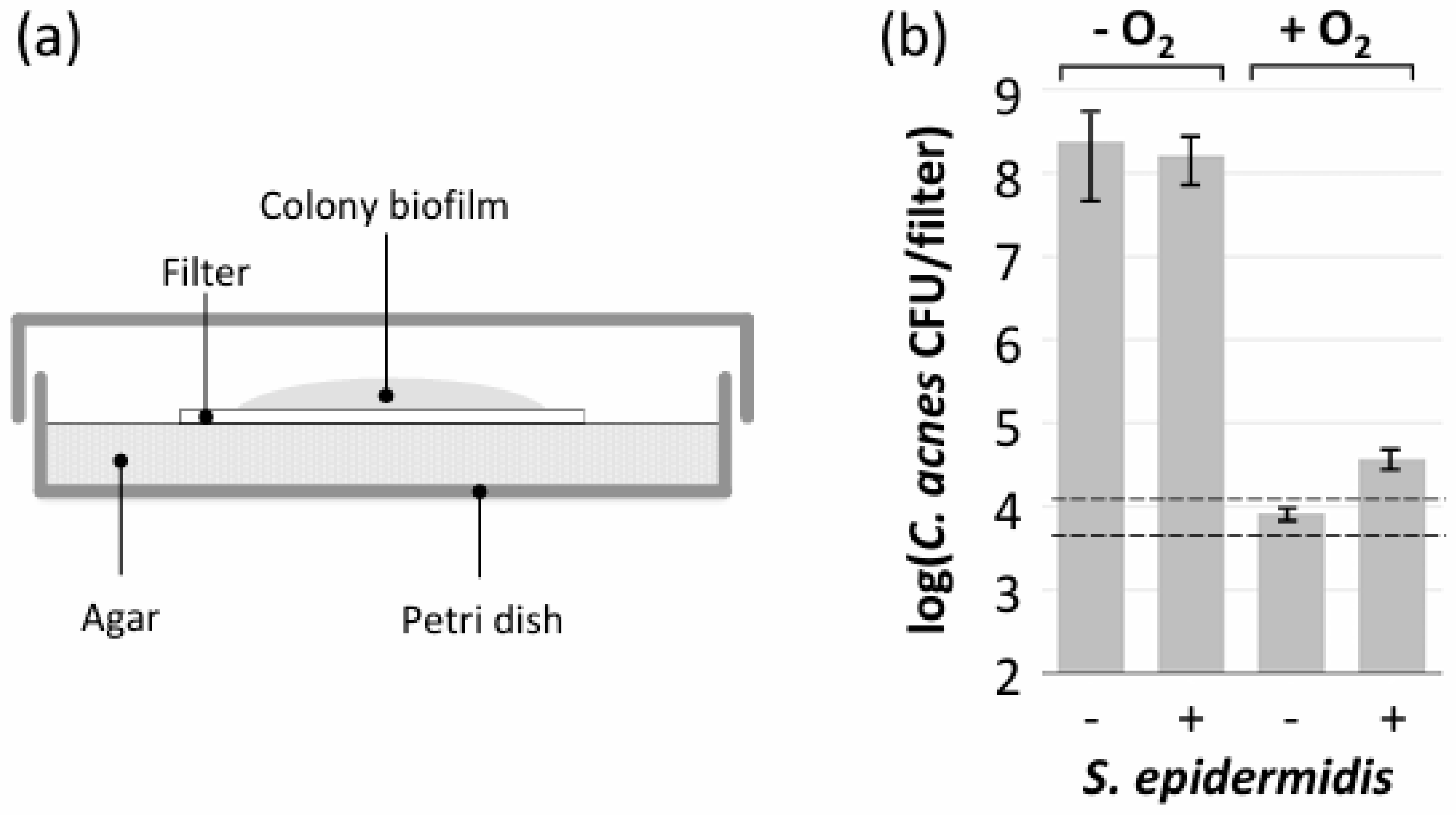 Microorganisms 12 02601 g005