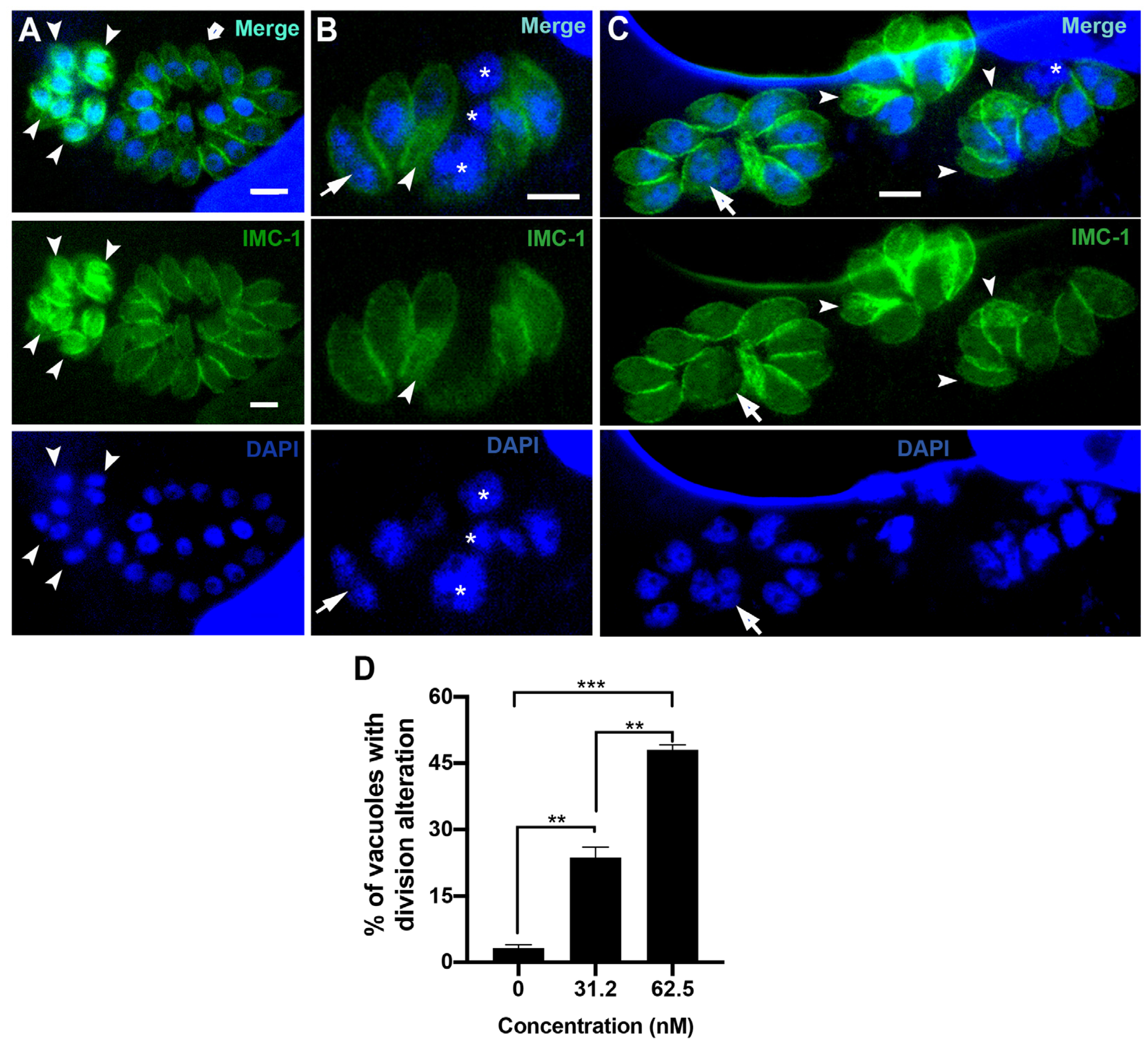 Microorganisms 12 02602 g003