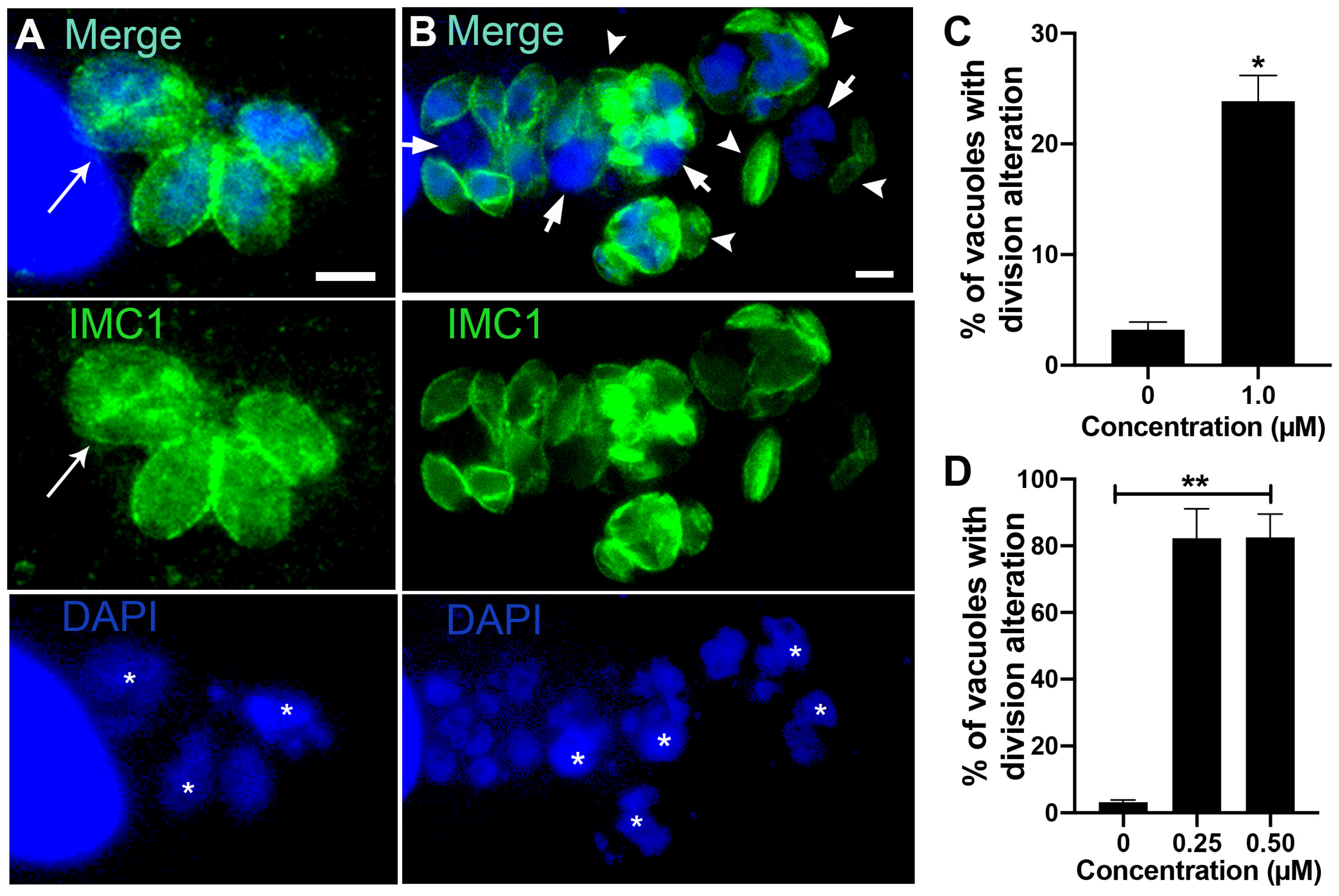 Microorganisms 12 02602 g007