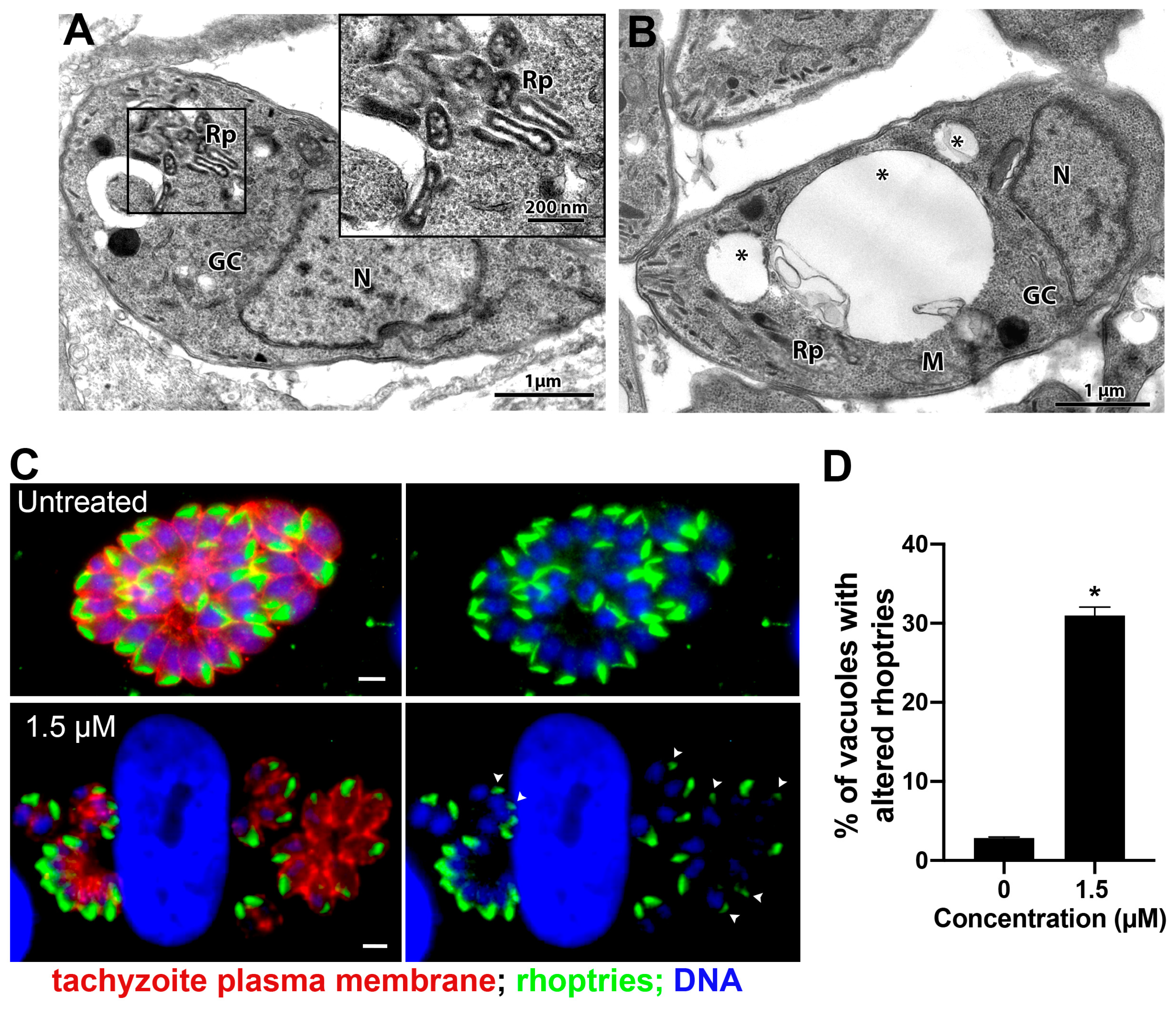 Microorganisms 12 02602 g008