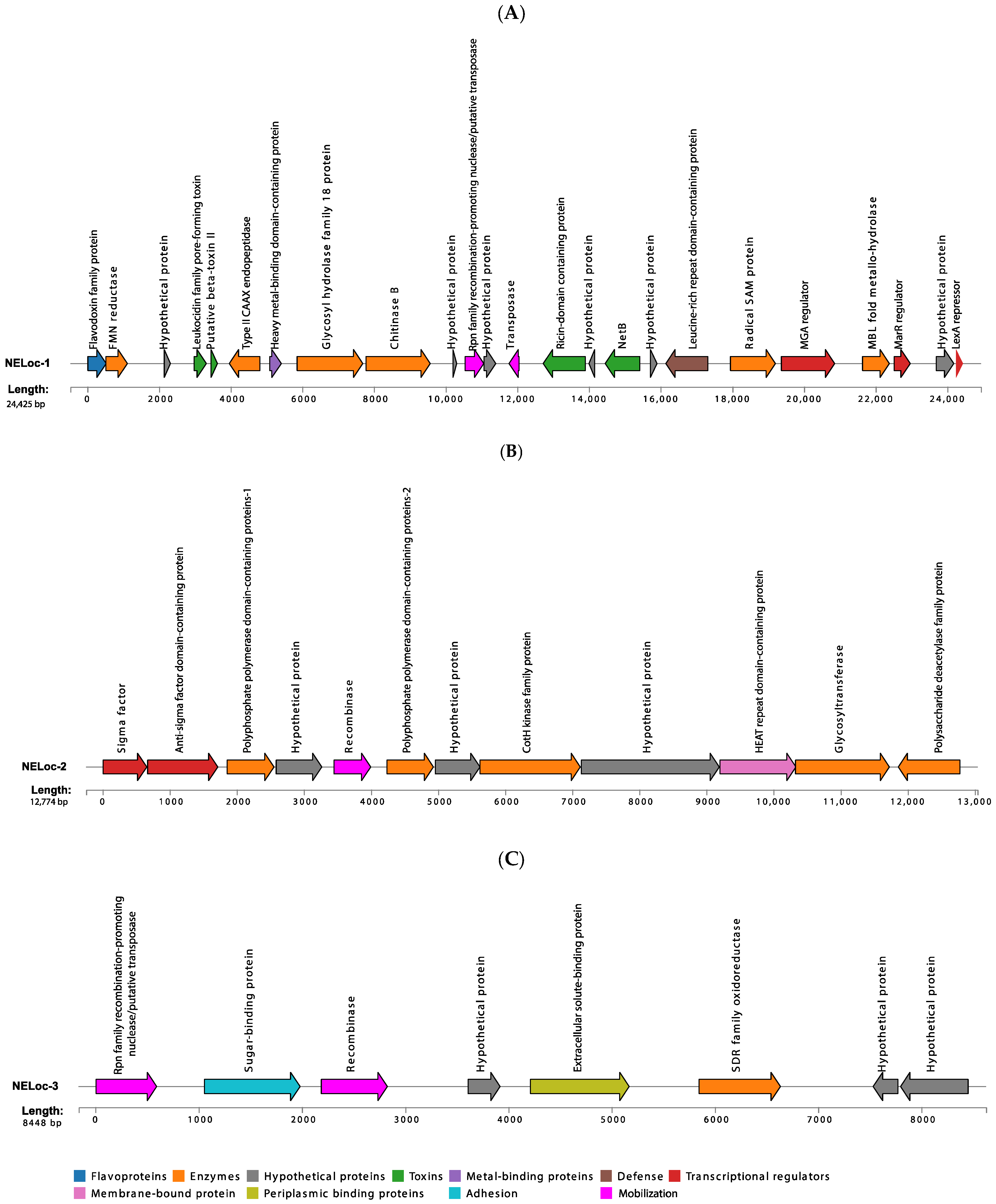 Microorganisms 12 02624 g003