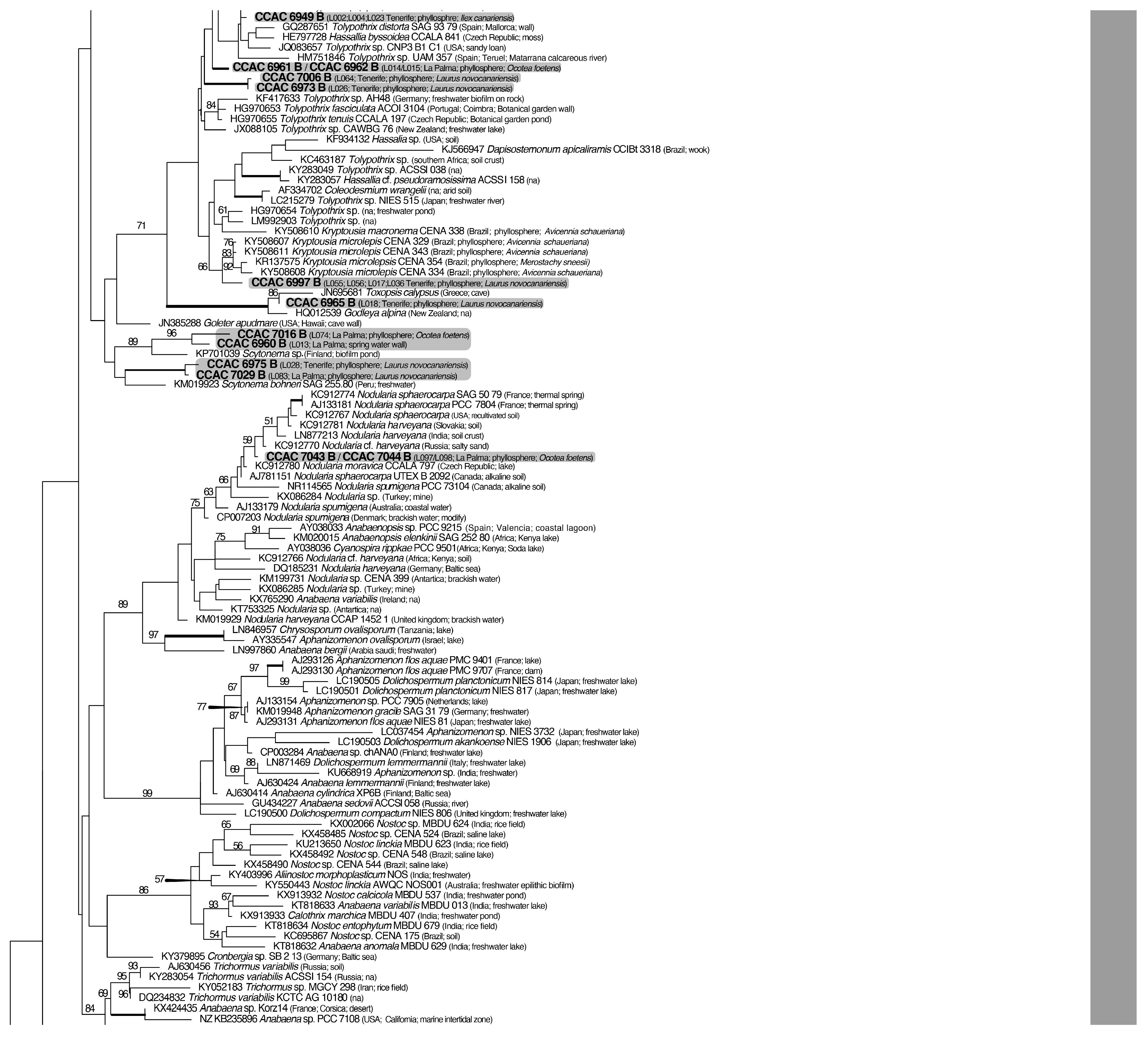 Microorganisms 12 02625 g006d