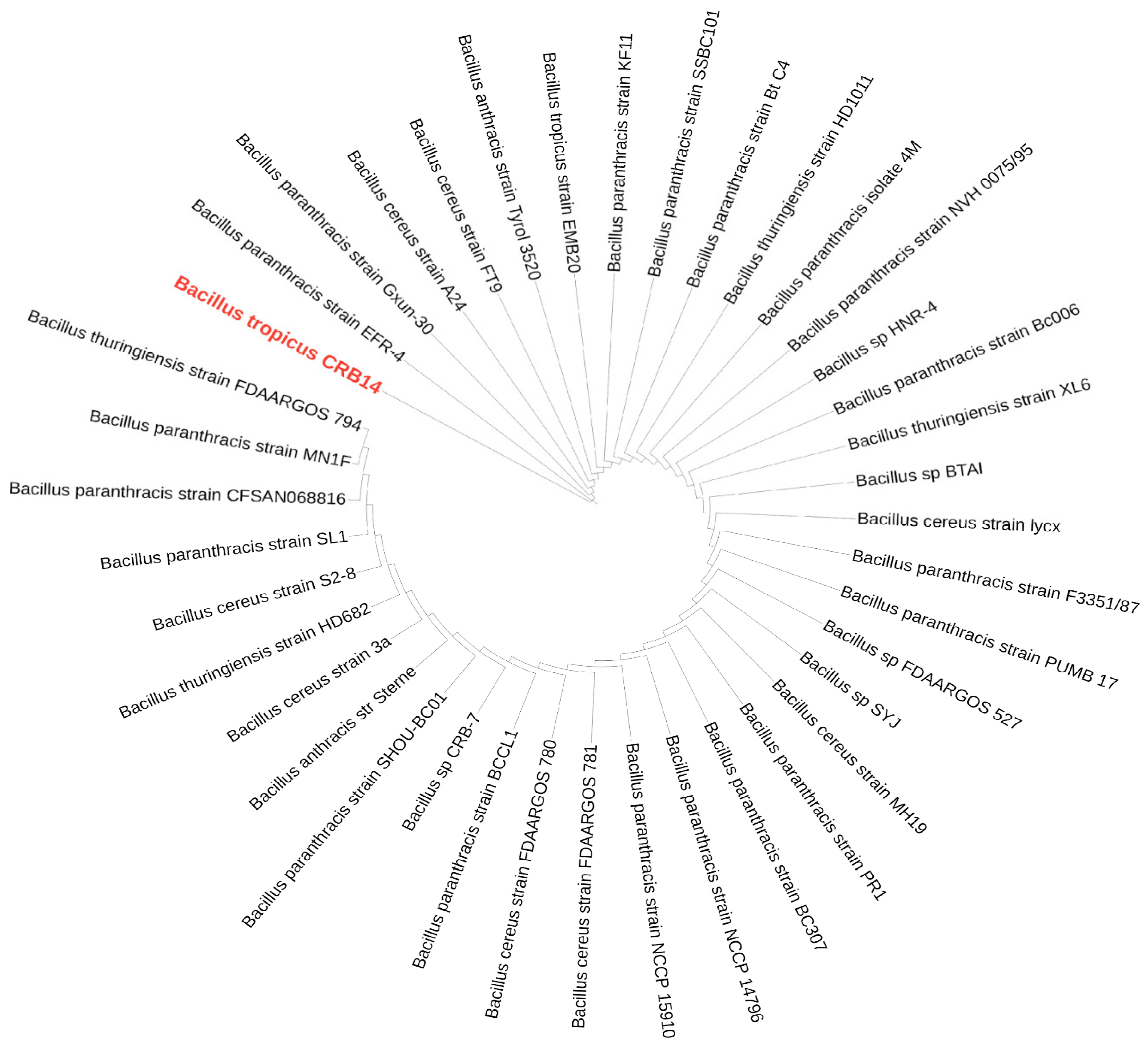 Microorganisms 12 02633 g006