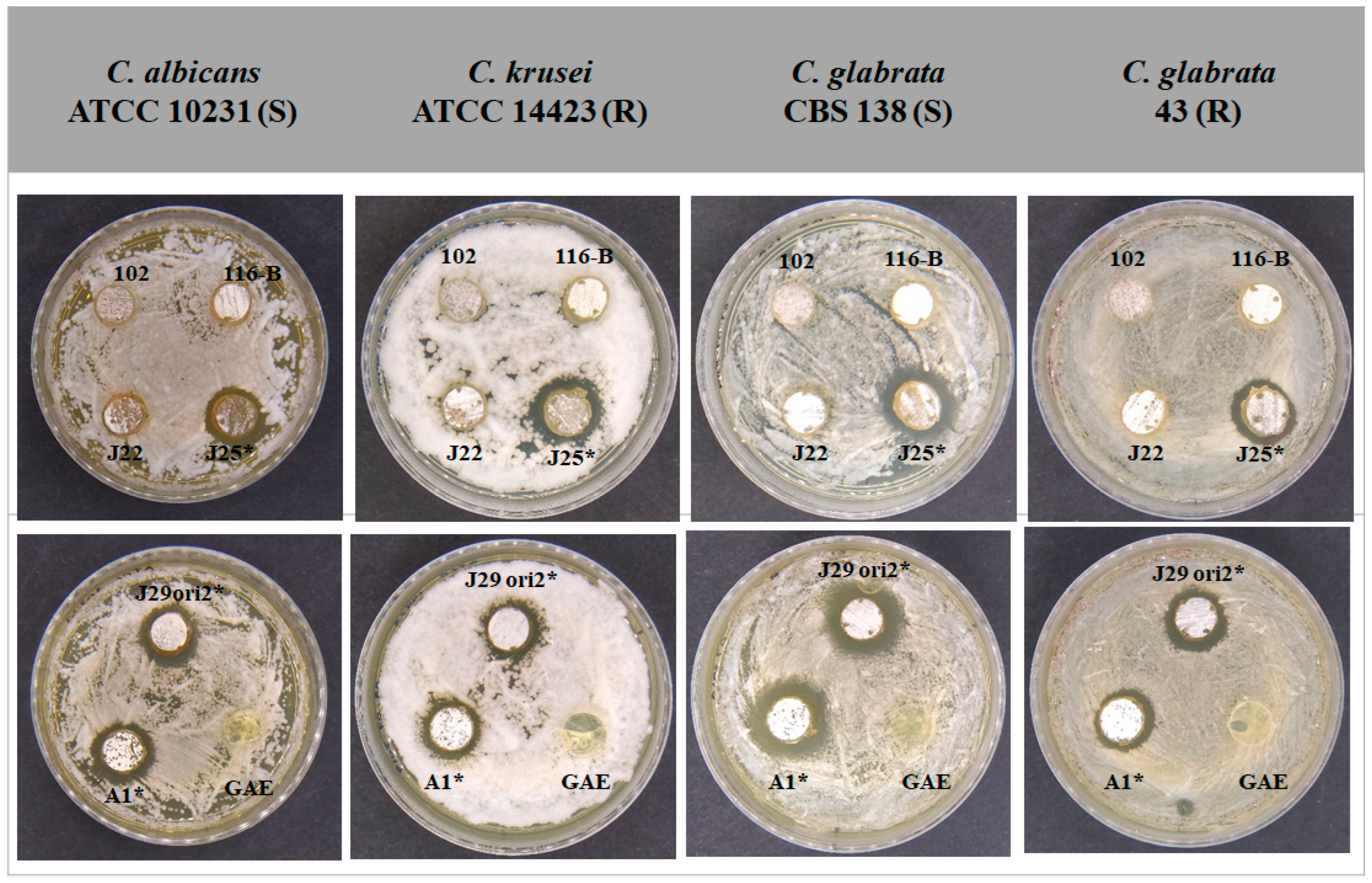 Microorganisms 12 02637 g002 Microorganisms 12 02637 g002