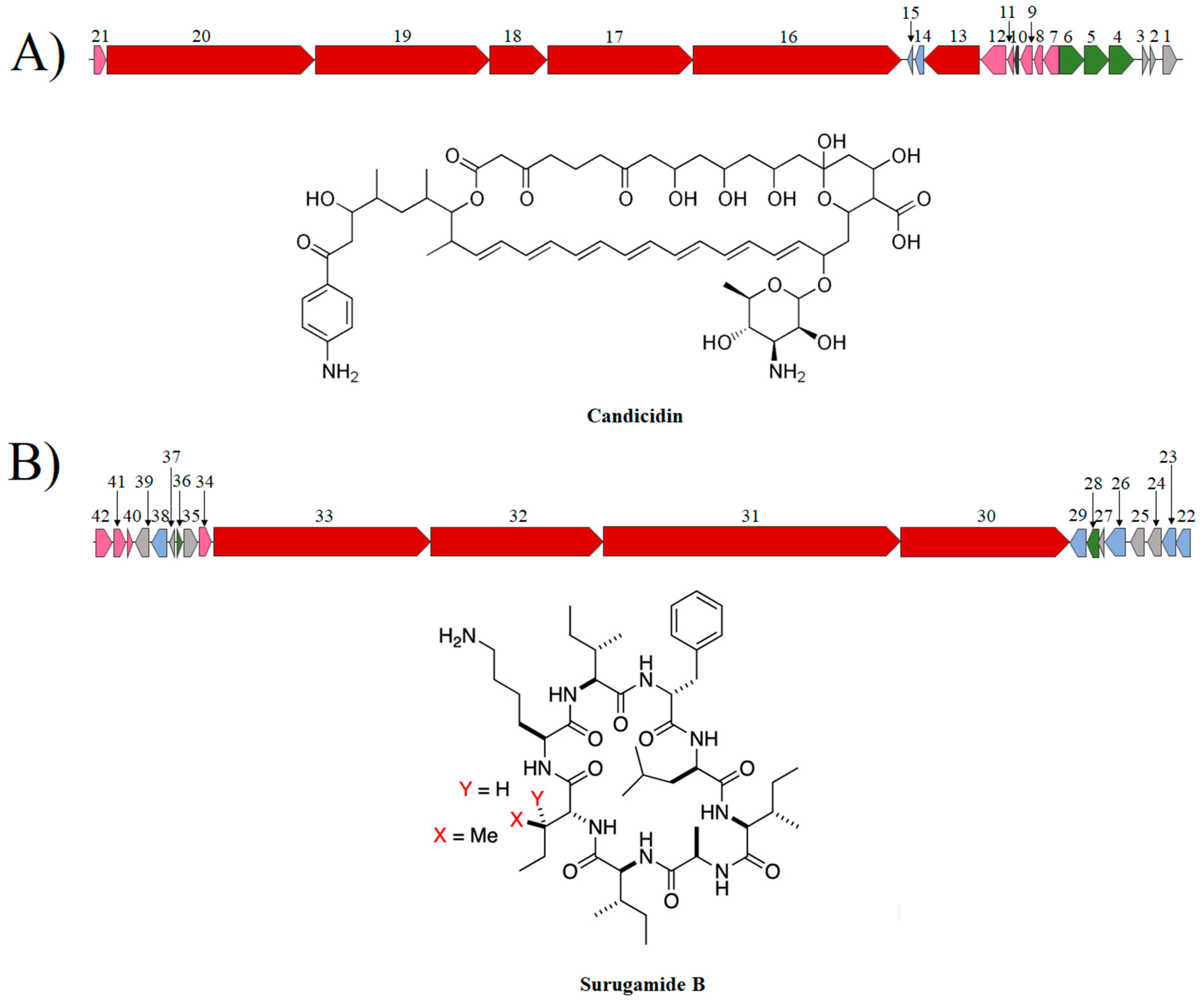 Microorganisms 12 02637 g006 Microorganisms 12 02637 g006