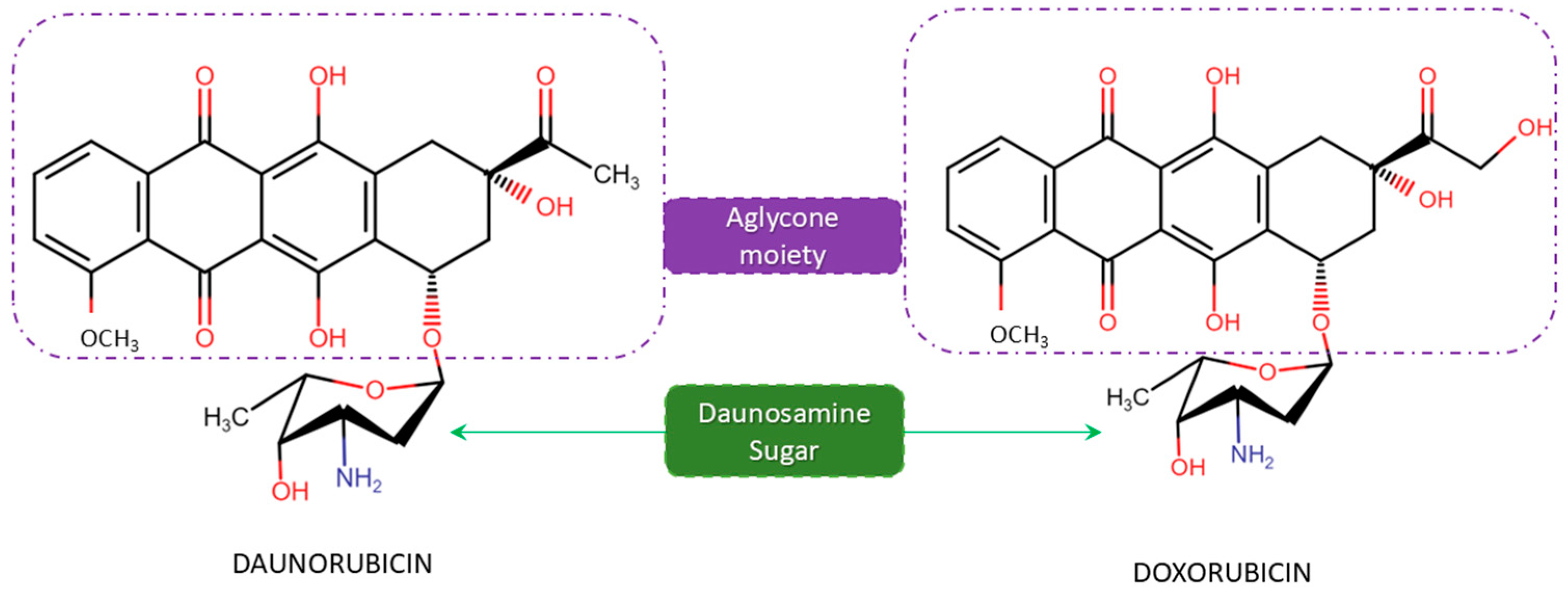 Microorganisms 12 02639 g001 Microorganisms 12 02639 g001