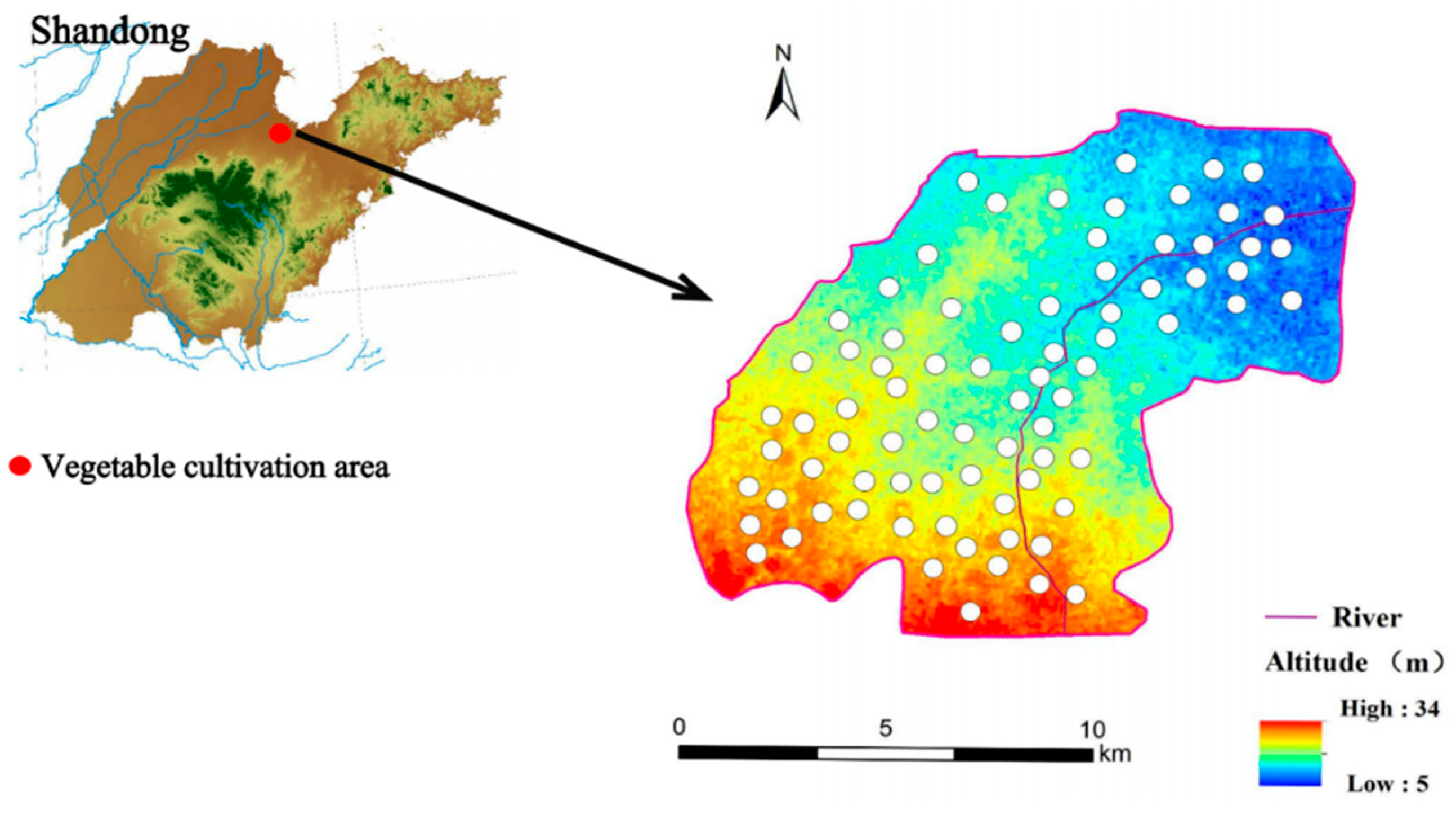Microorganisms 12 02646 g001