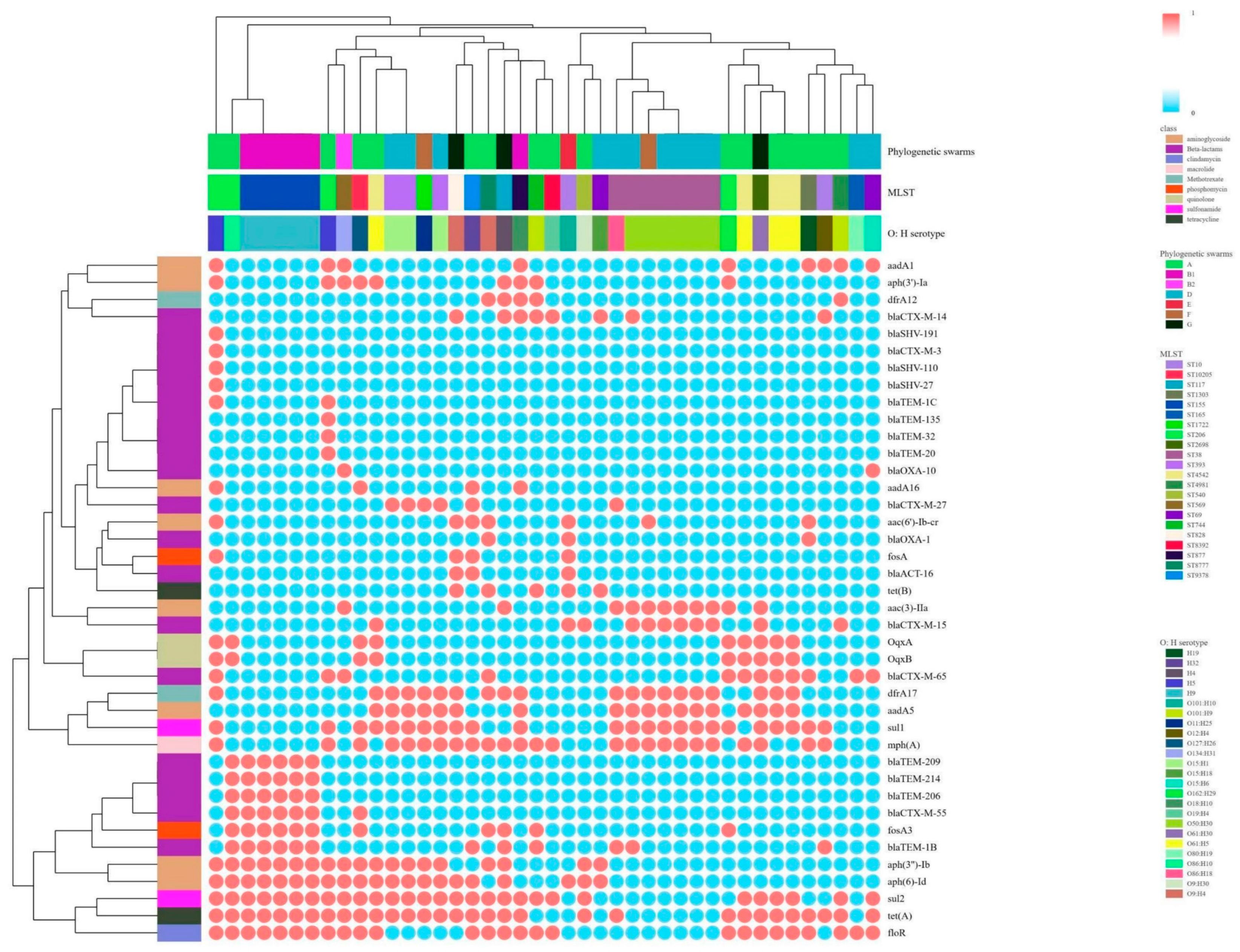 Microorganisms 12 02646 g002