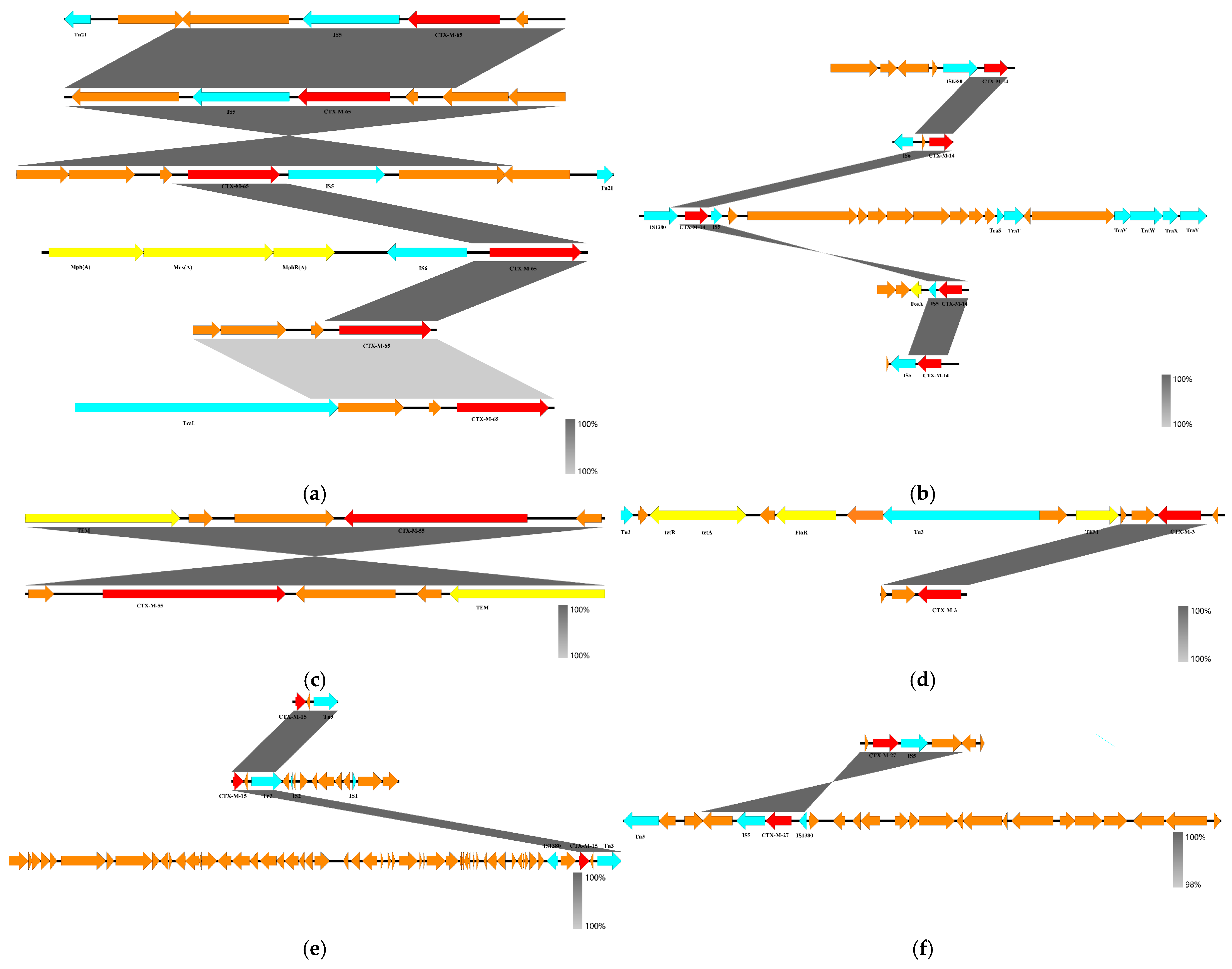Microorganisms 12 02646 g003