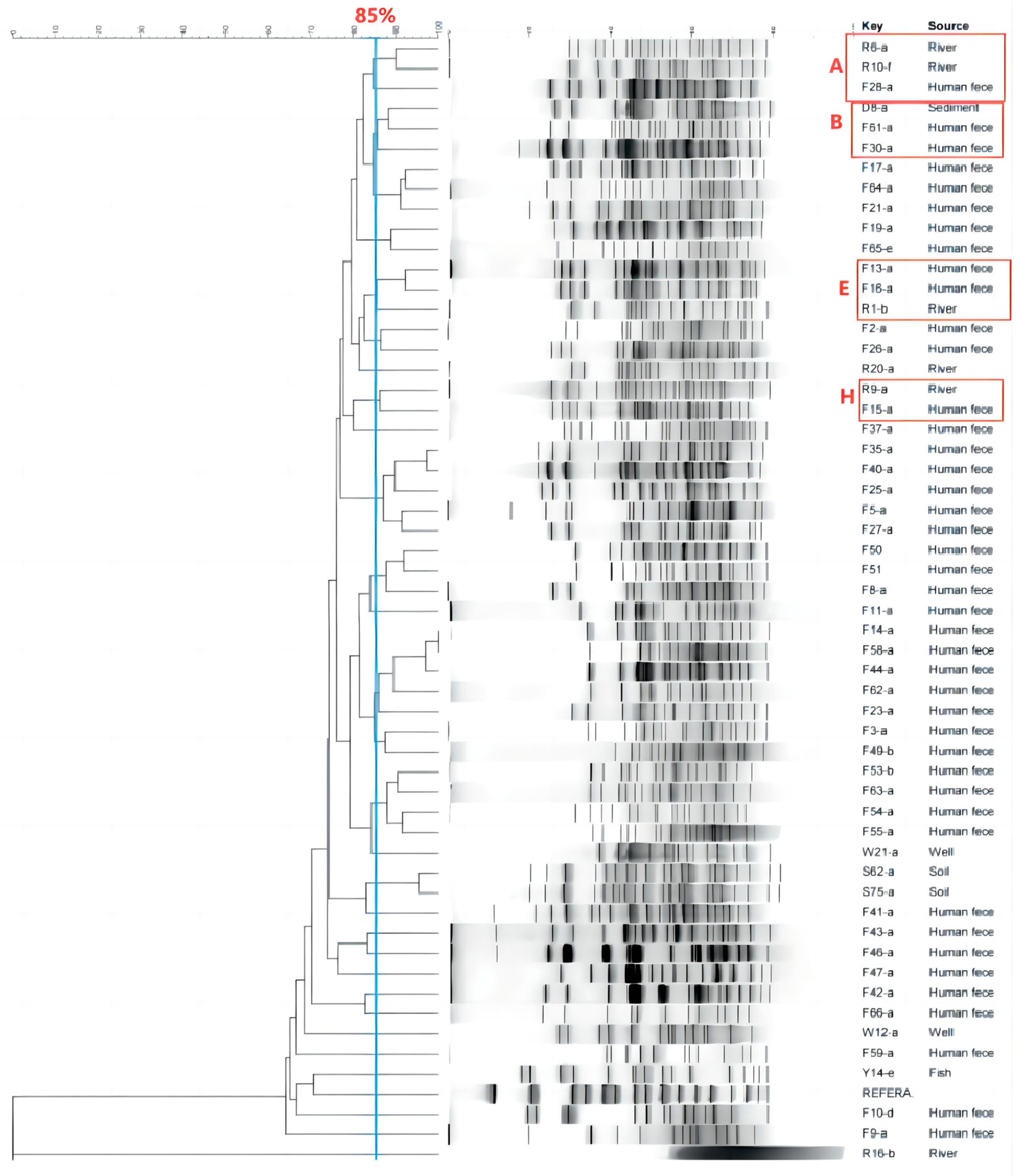 Microorganisms 12 02646 g005
